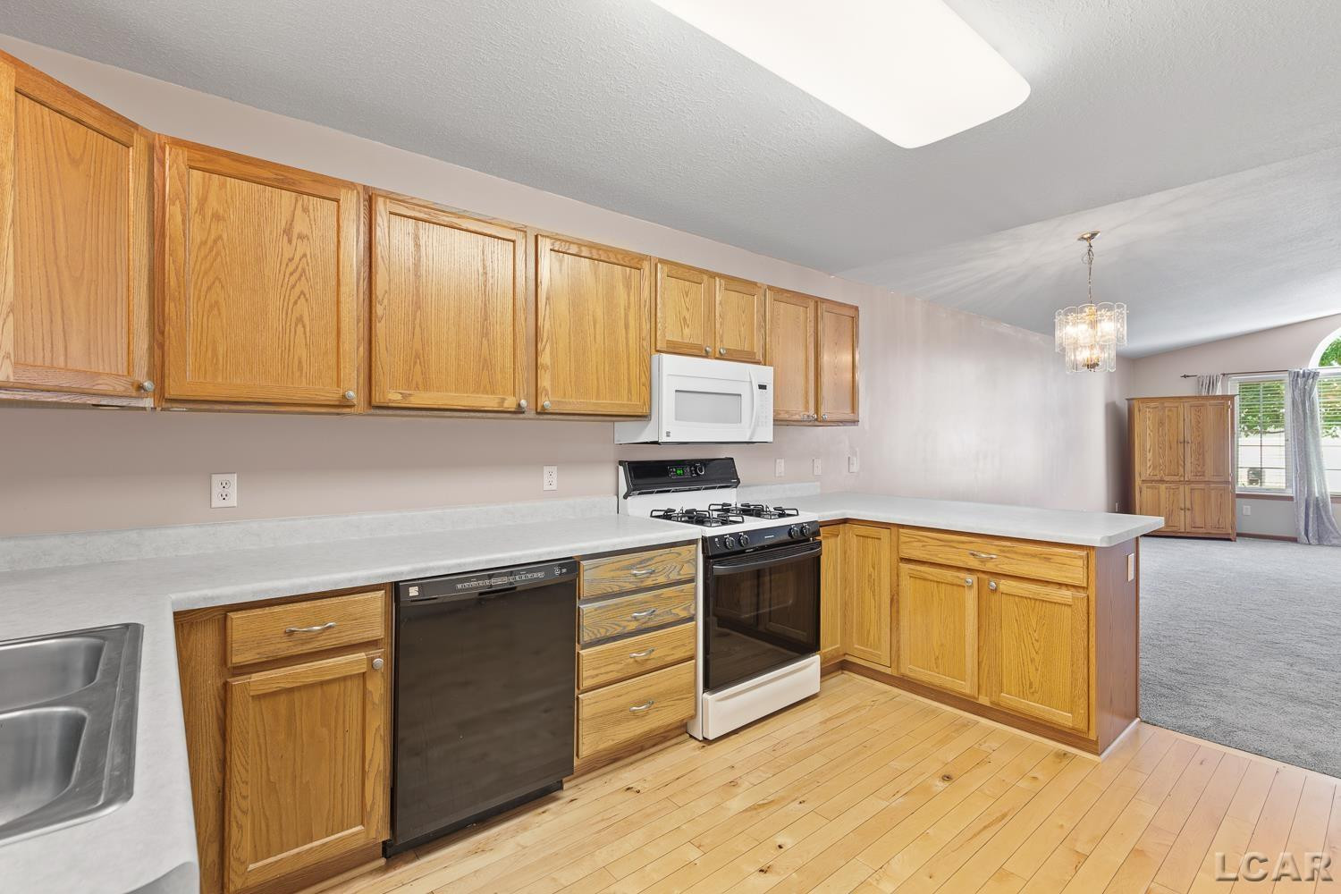 302 Lakewood Drive, Adrian, MI 49221 — Photo 12