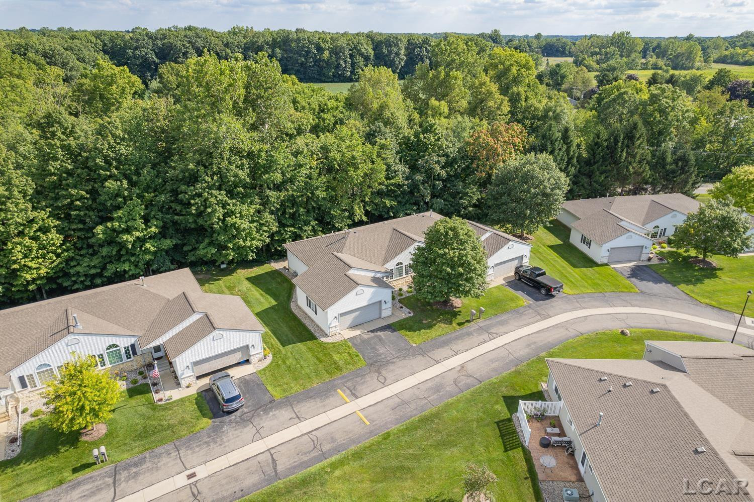 302 Lakewood Drive, Adrian, MI 49221 — Photo 39