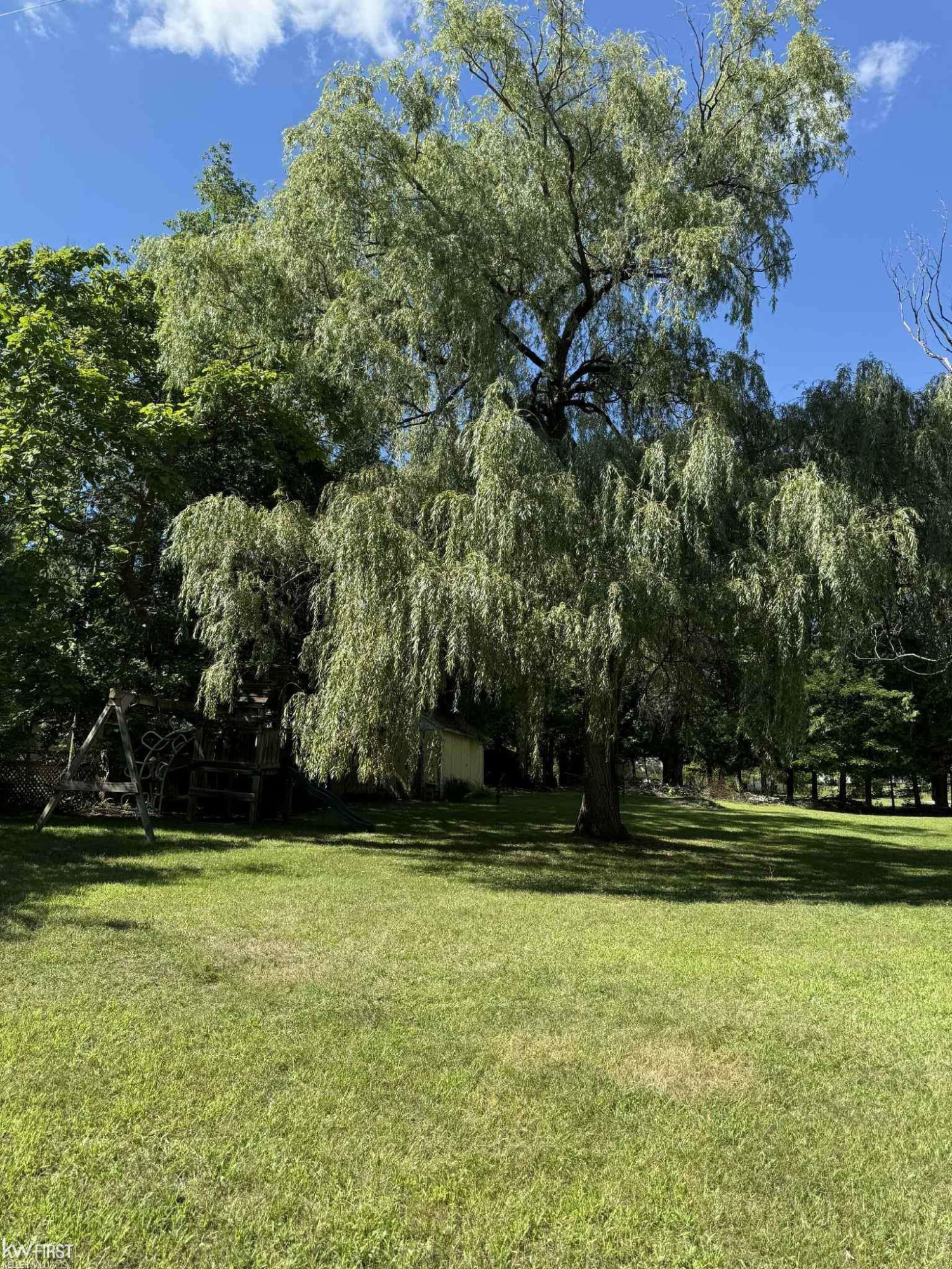 1195 Latta Trail, Weidman, MI 48893 — Photo 13