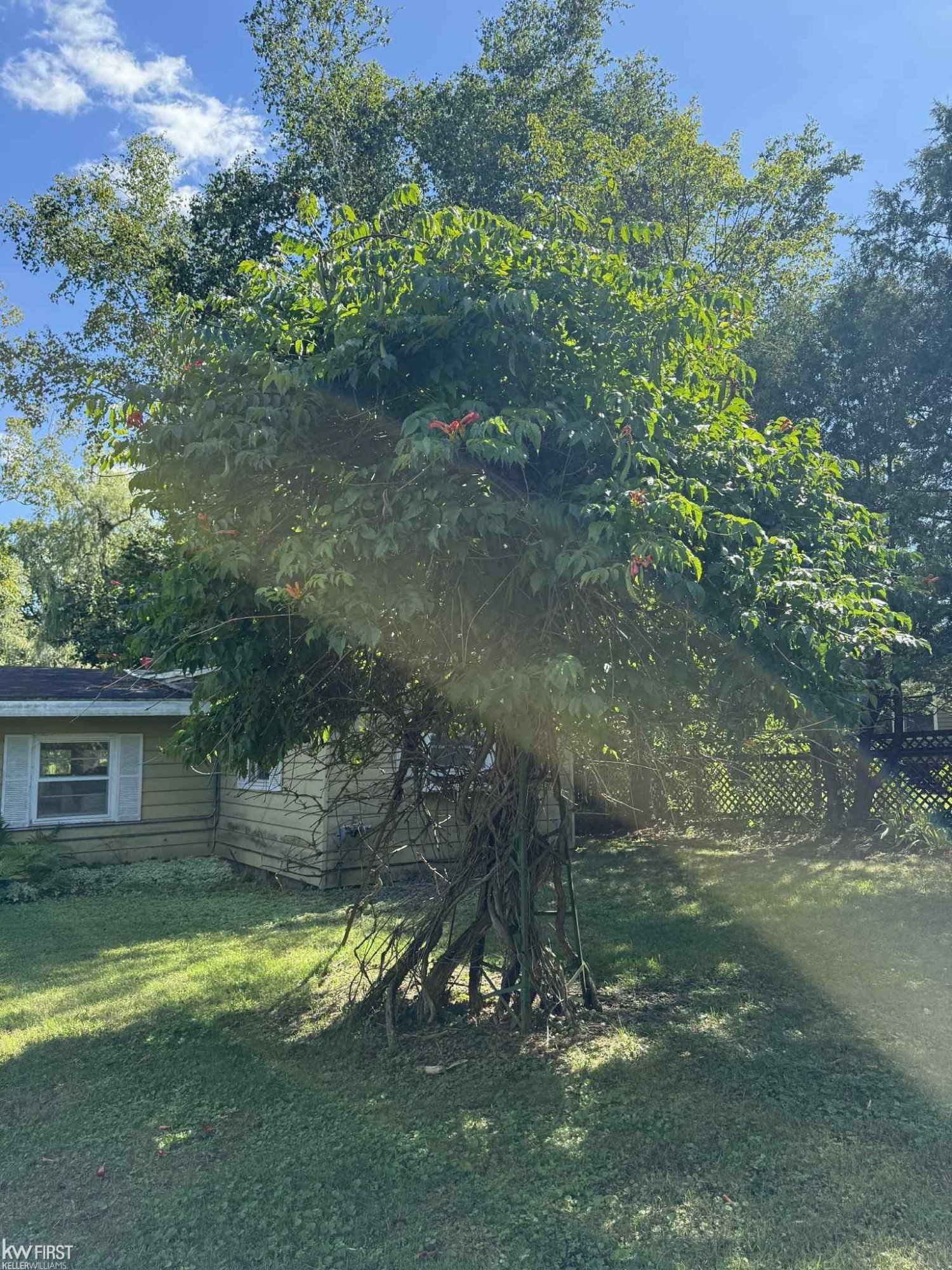 1195 Latta Trail, Weidman, MI 48893 — Photo 24