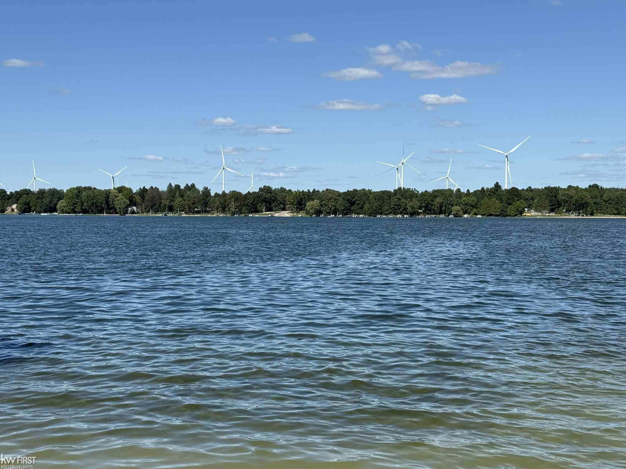 1195 Latta Trail, Weidman, MI 48893 — Photo 37