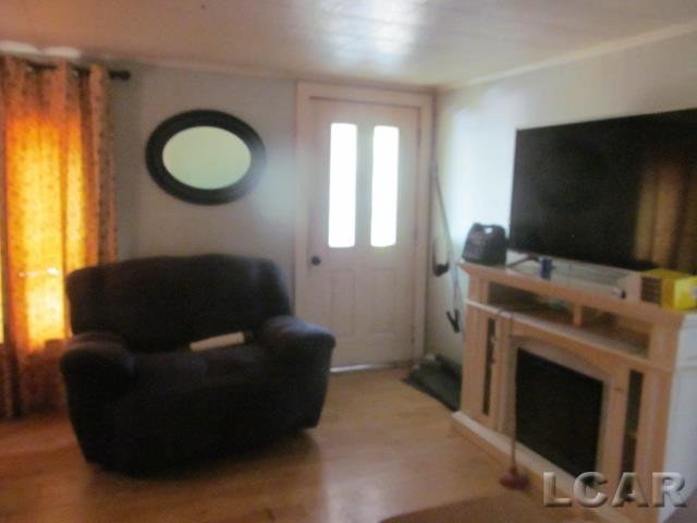 18732 Hillside Road, Hudson, MI 49247 — Photo 2