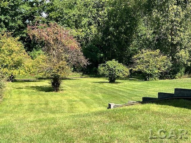 1010 W Valley Road, Adrian, MI 49221 — Photo 7