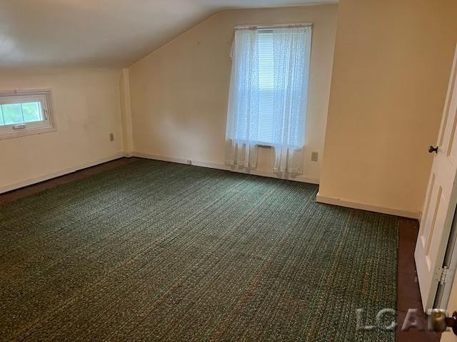 1010 W Valley Road, Adrian, MI 49221 — Photo 14