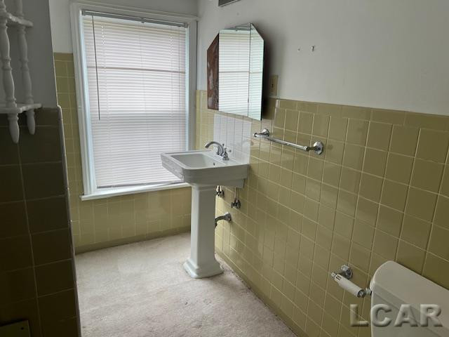 1010 W Valley Road, Adrian, MI 49221 — Photo 17