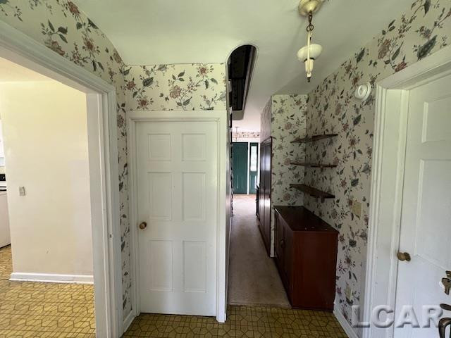 1010 W Valley Road, Adrian, MI 49221 — Photo 23