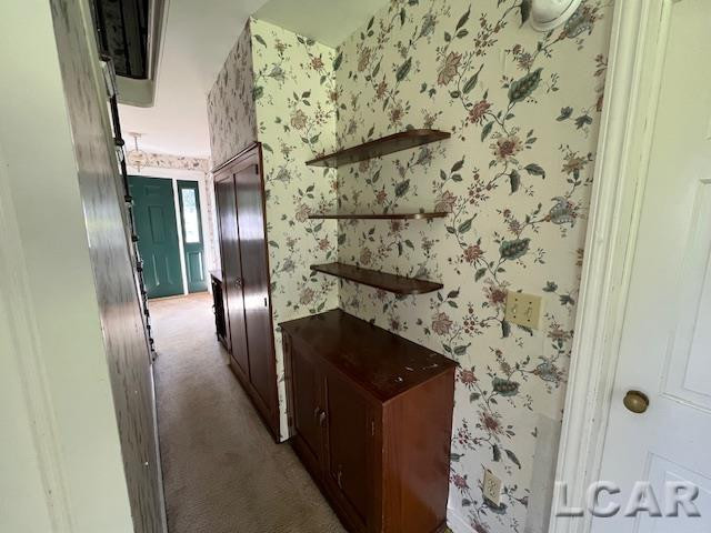1010 W Valley Road, Adrian, MI 49221 — Photo 24