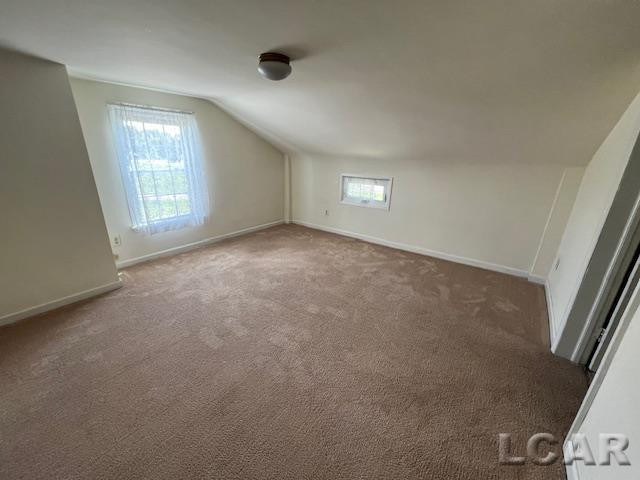 1010 W Valley Road, Adrian, MI 49221 — Photo 36