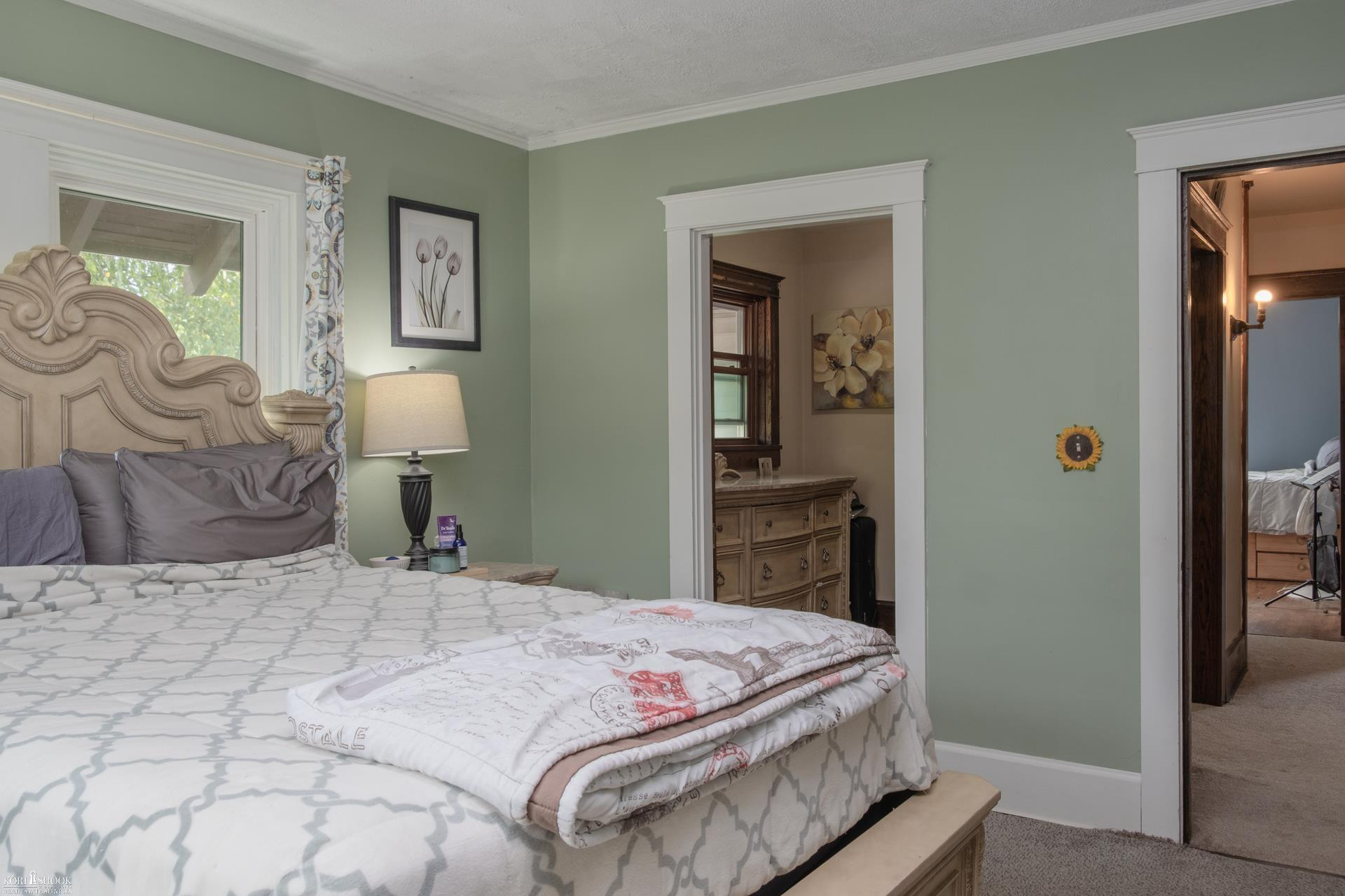 210 W Front Street, Ovid, MI 48866 — Photo 18