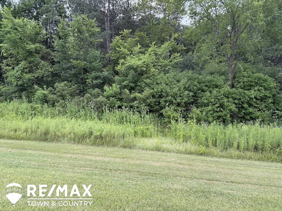 13496 N Lewis Road, Clio, MI 48420 — Photo 48
