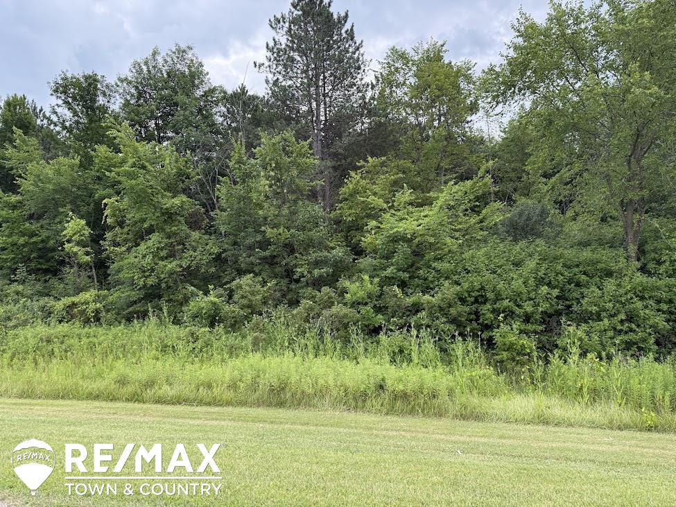 13496 N Lewis Road, Clio, MI 48420 — Photo 49