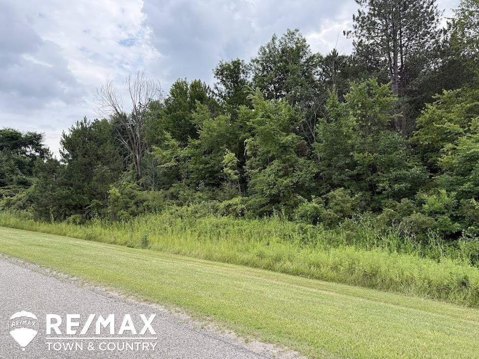 13496 N Lewis Road, Clio, MI 48420 — Photo 50