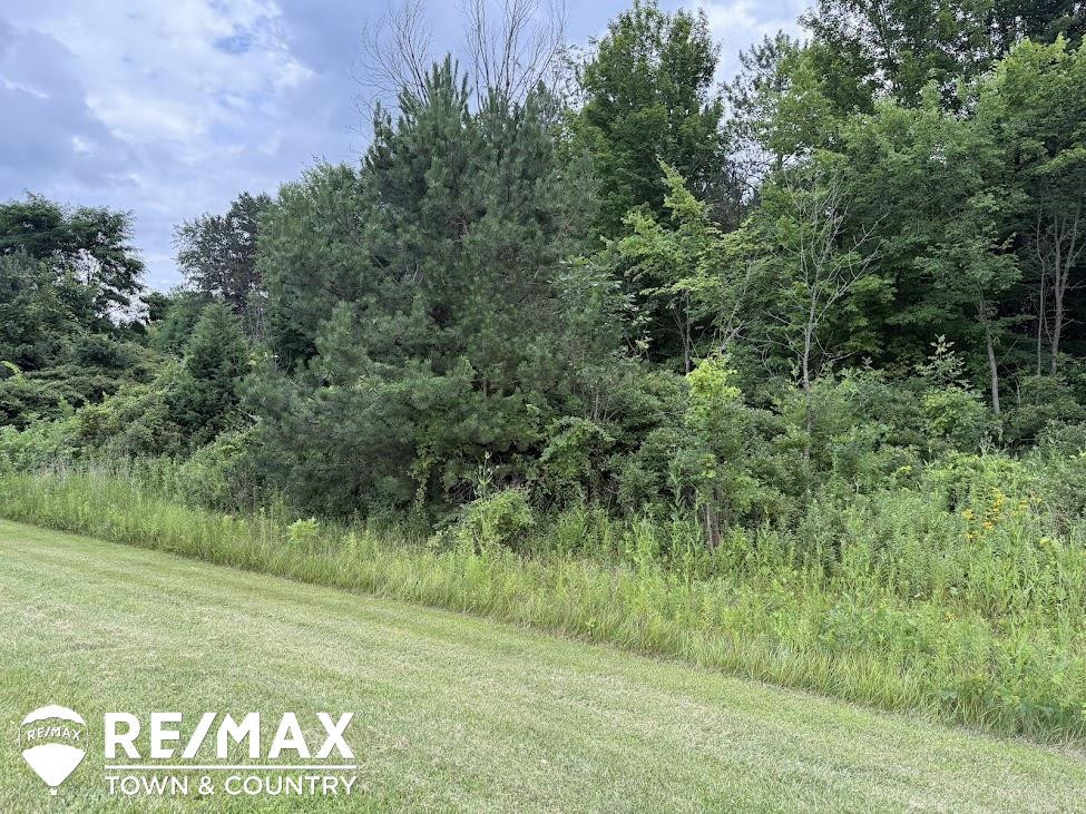 13496 N Lewis Road, Clio, MI 48420 — Photo 51
