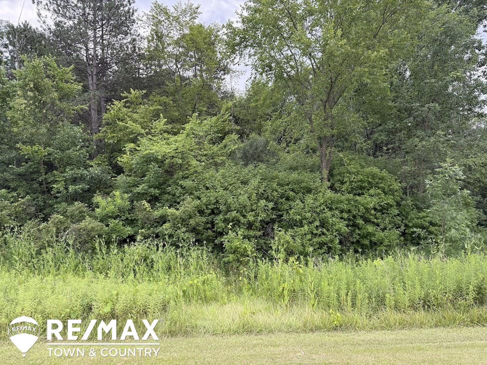 13496 N Lewis Road, Clio, MI 48420 — Photo 52