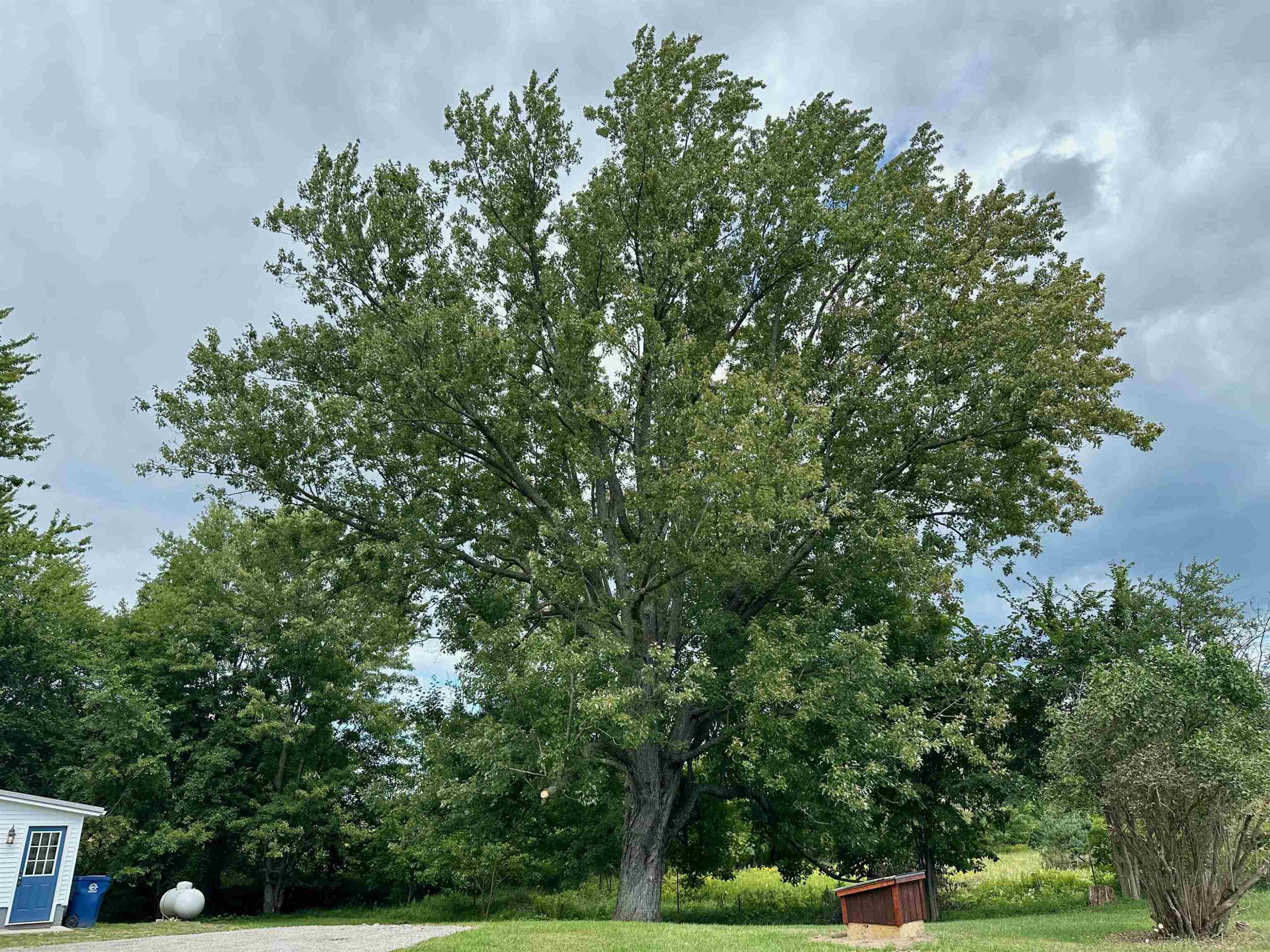 14979 Fowler Road, Chesaning, MI 48616 — Photo 10