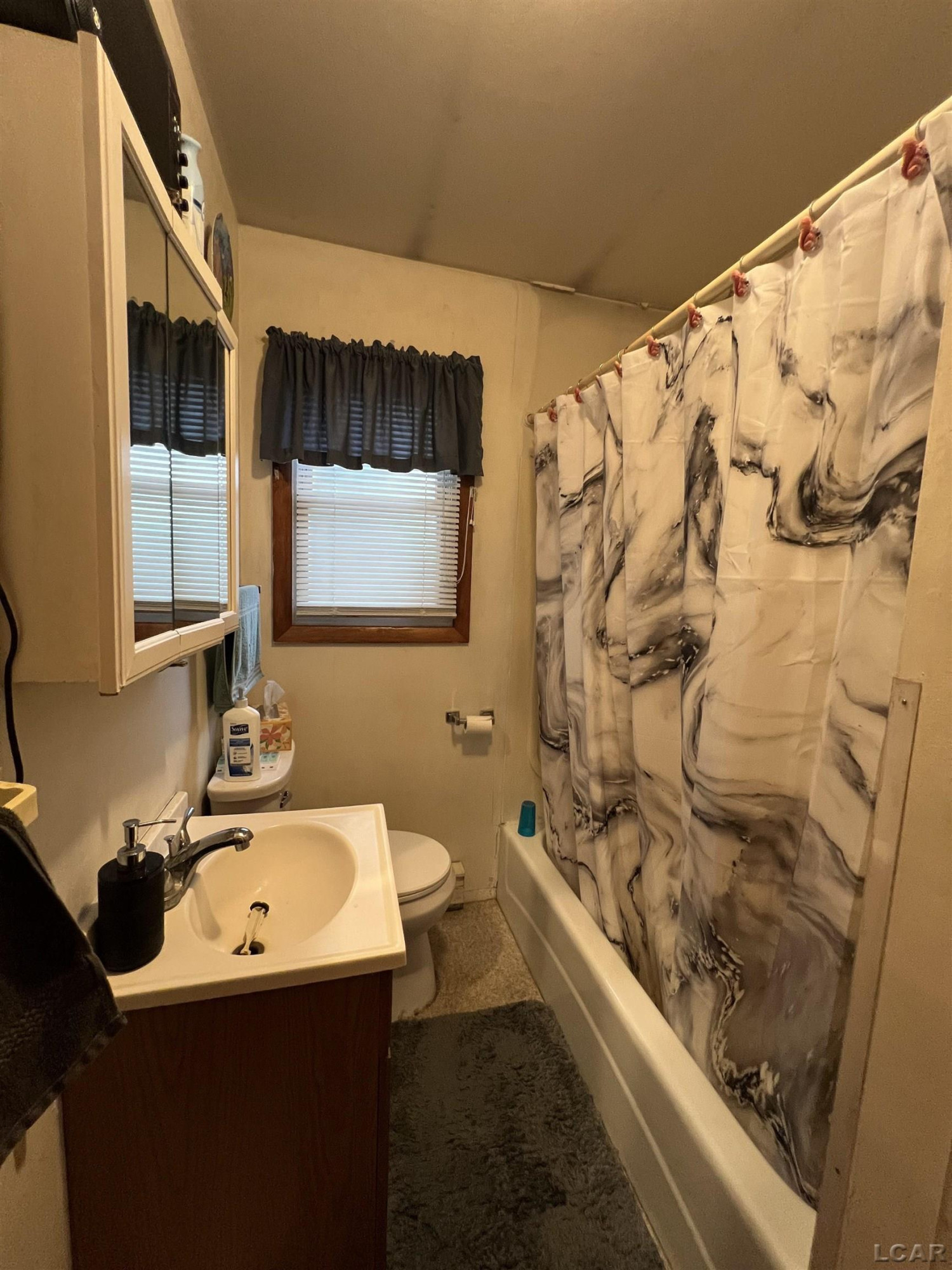 4790 W Cadmus Road, Adrian, MI 49221 — Photo 34