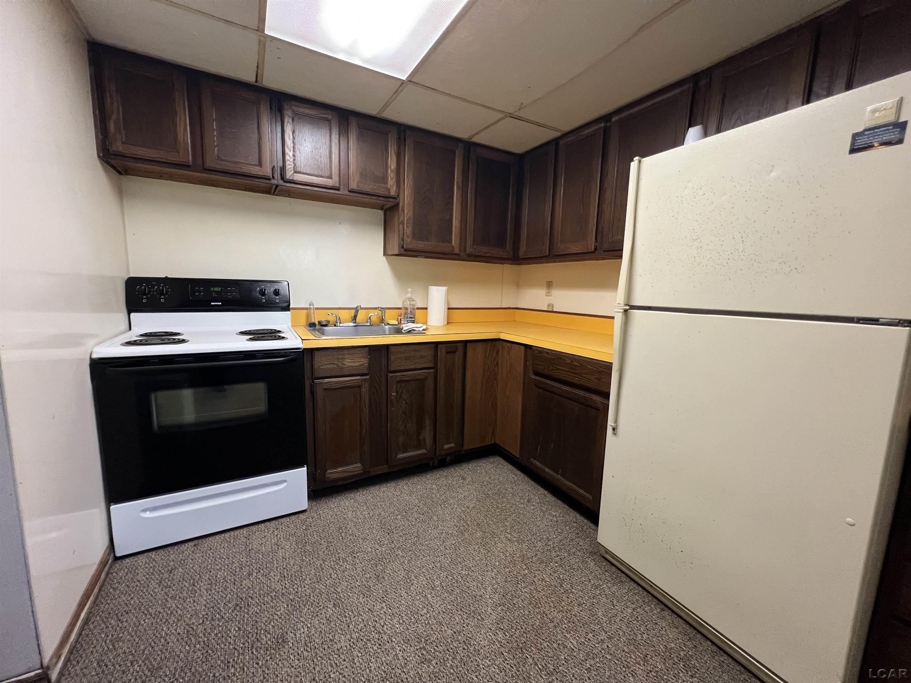 4790 W Cadmus Road, Adrian, MI 49221 — Photo 42