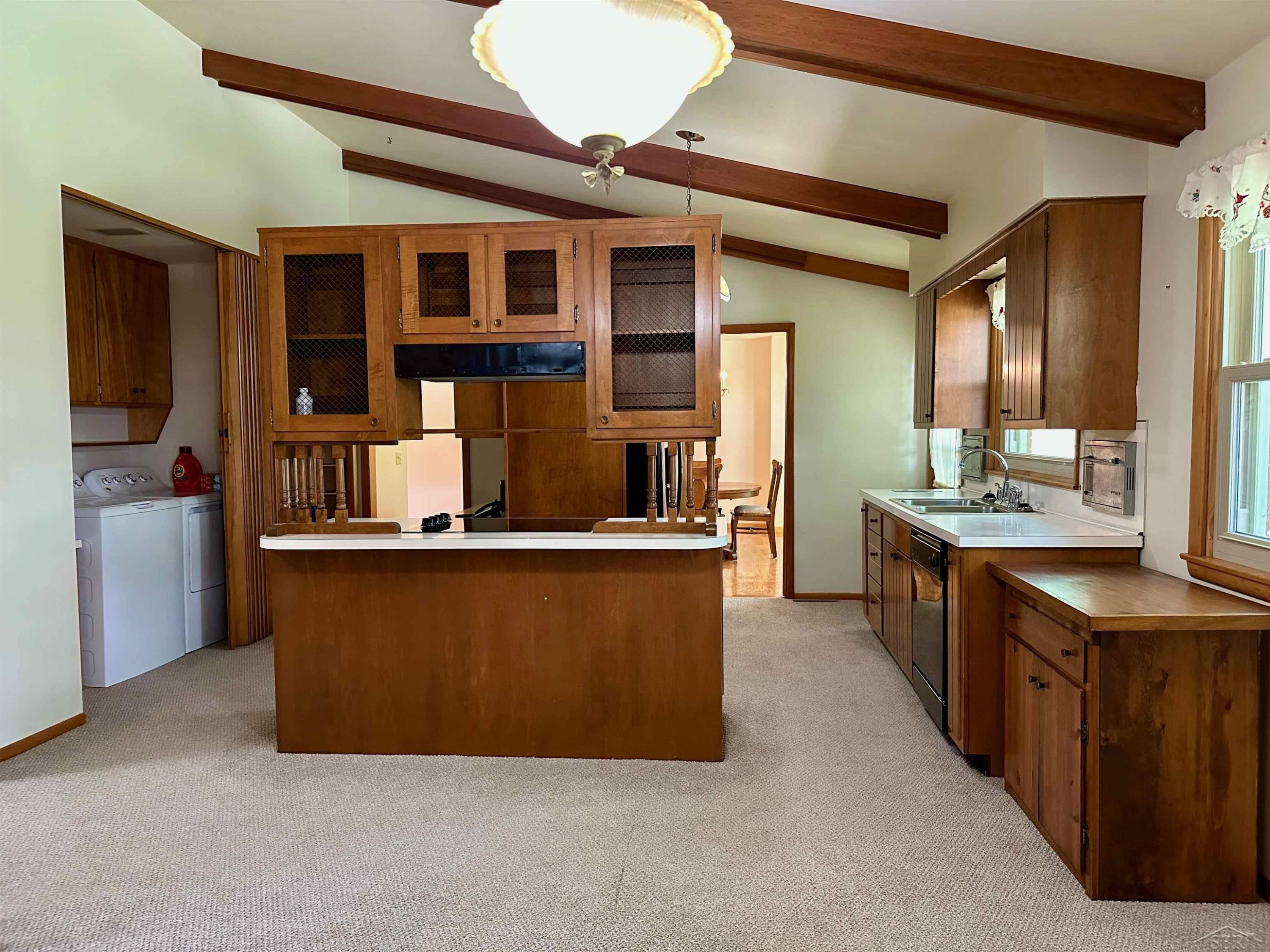 316 Nason Street, Chesaning, MI 48616 — Photo 20