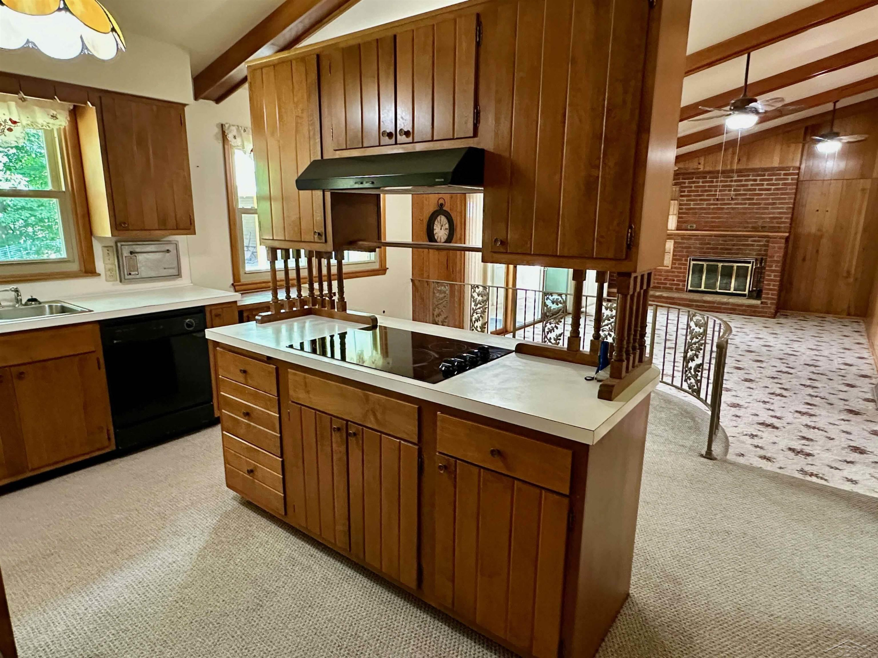 316 Nason Street, Chesaning, MI 48616 — Photo 21