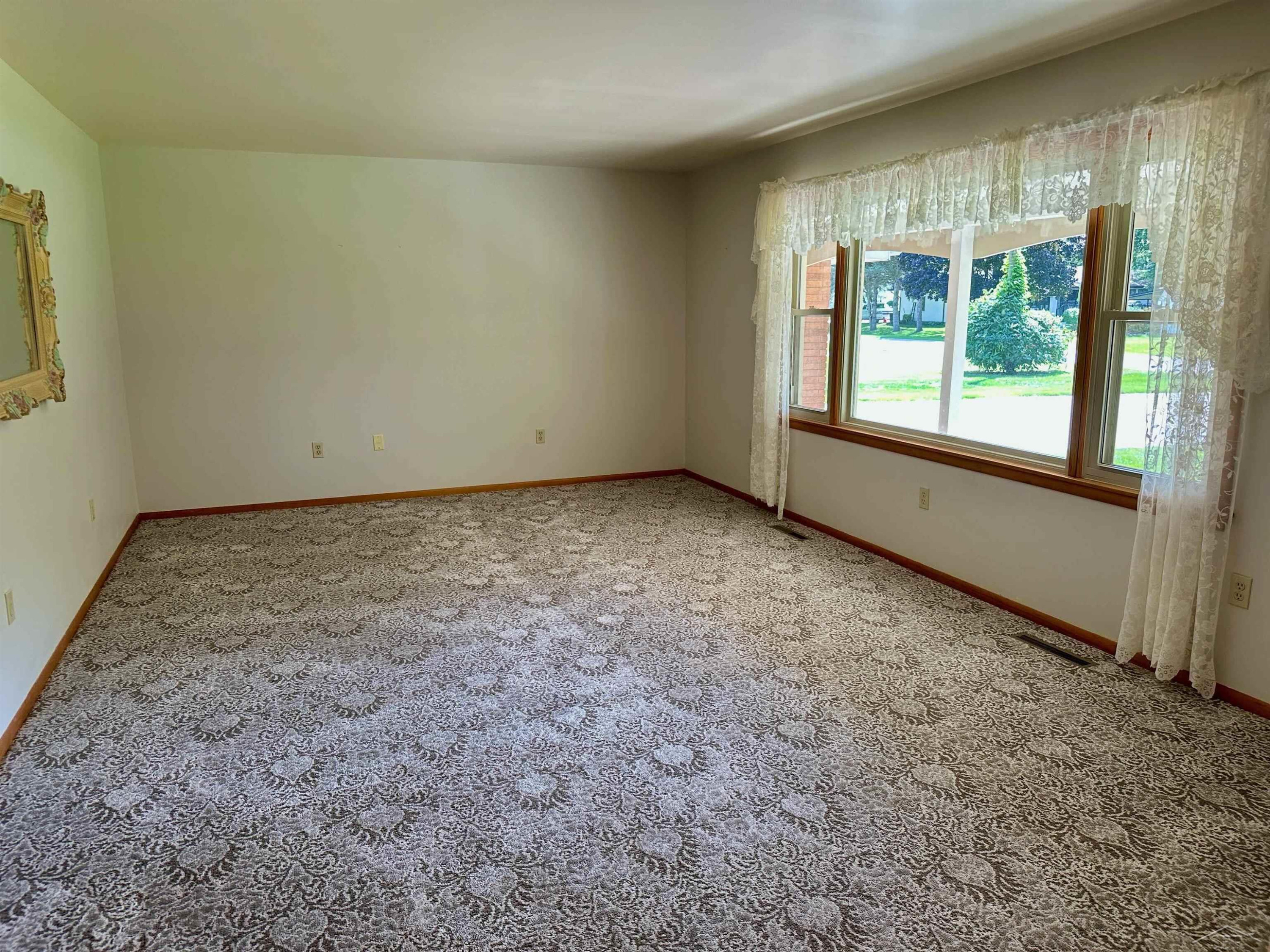 316 Nason Street, Chesaning, MI 48616 — Photo 24