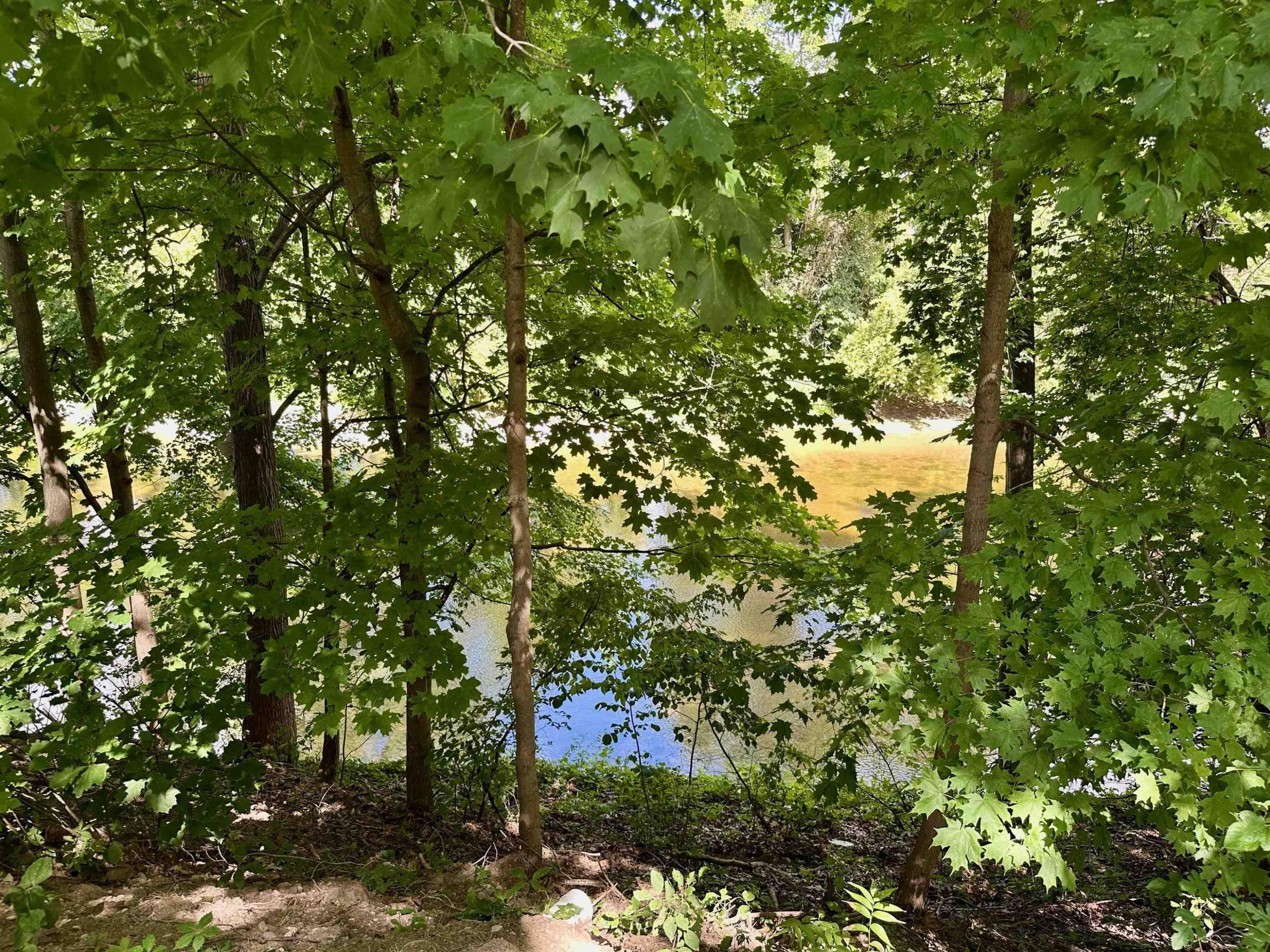 316 Nason Street, Chesaning, MI 48616 — Photo 49