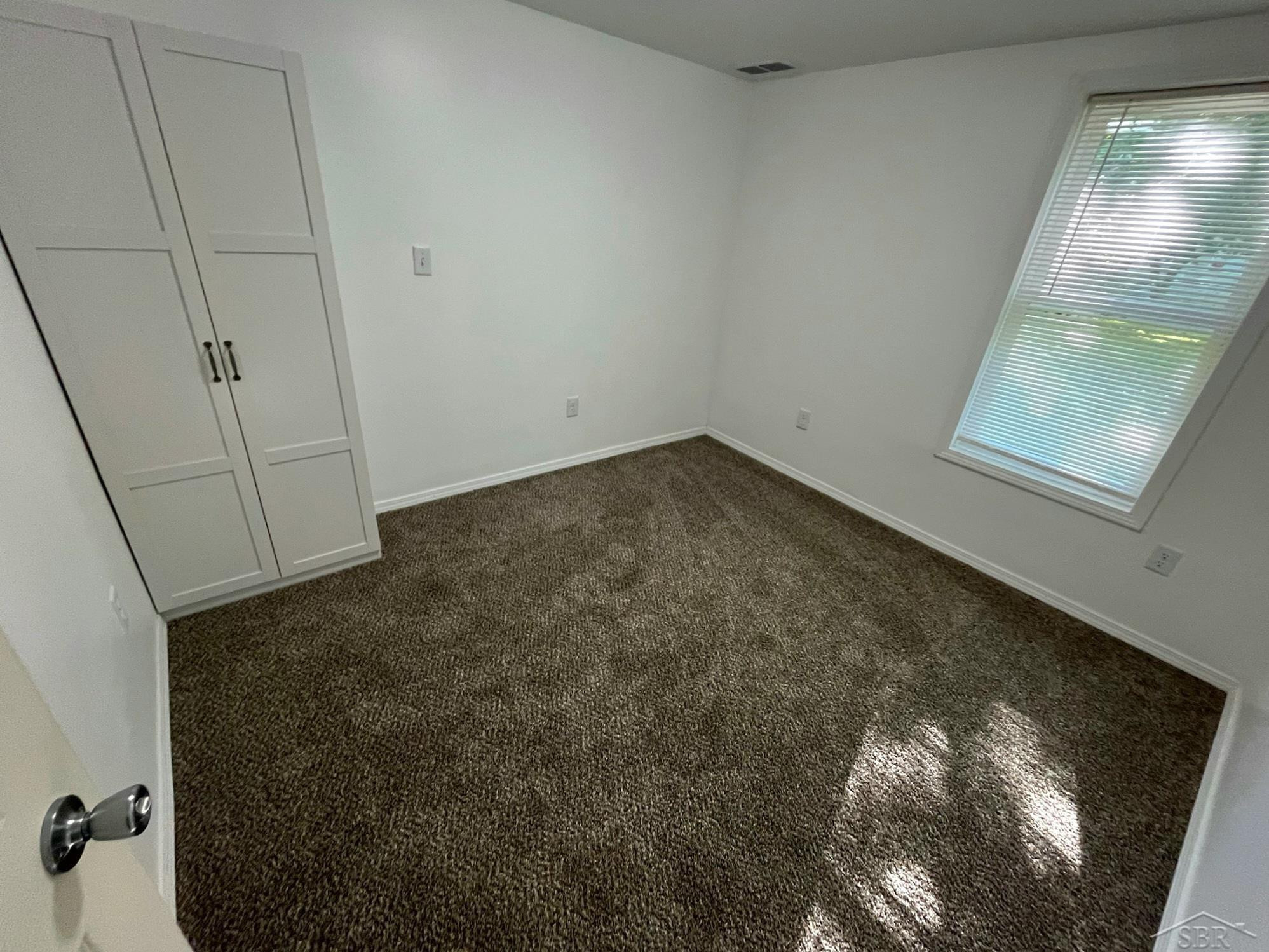 825 E Broad Street, Chesaning, MI 48616 — Photo 13