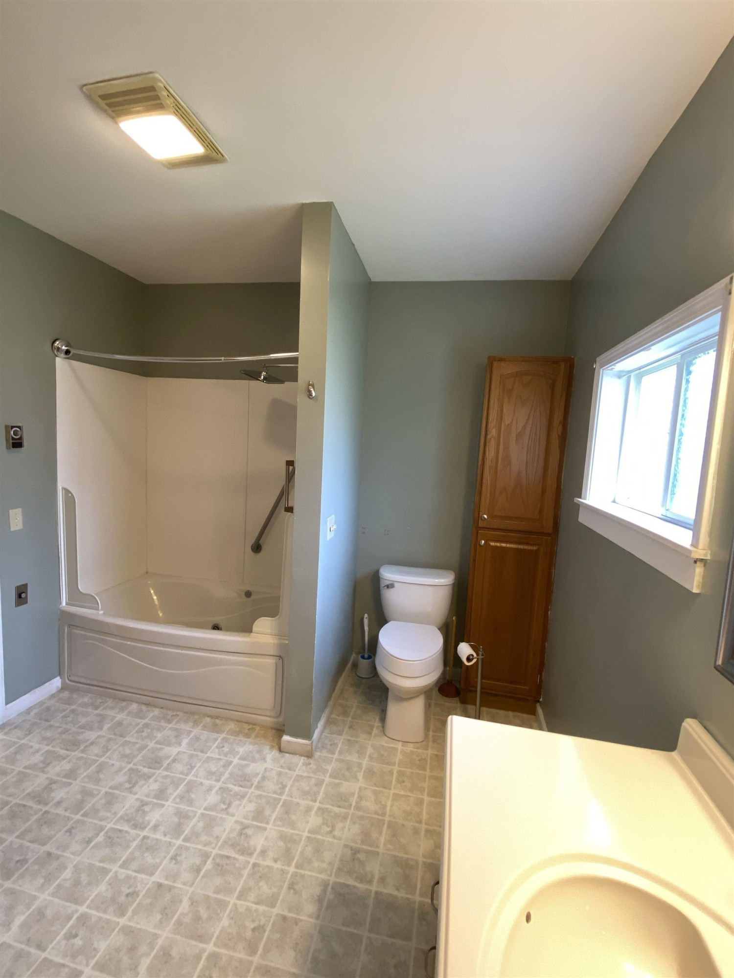 217 clinton Street, Ovid, MI 48866 — Photo 8