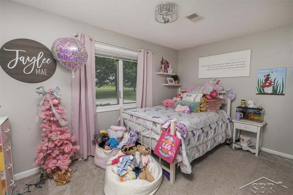 9211 N Union Road, Saint Louis, MI 48880 — Photo 12