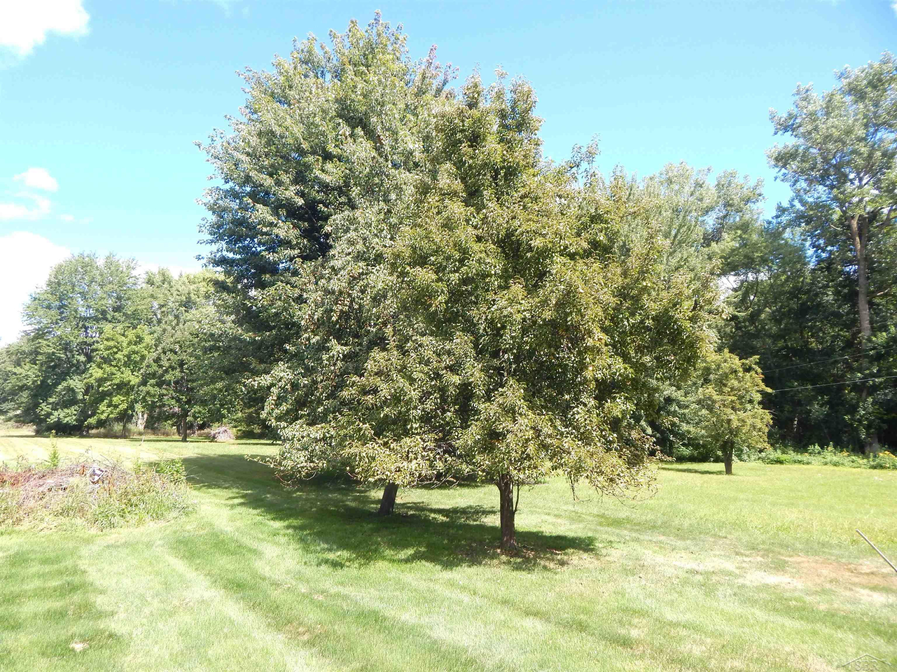 4333 Riverview Drive, Bridgeport, MI 48722 — Photo 26