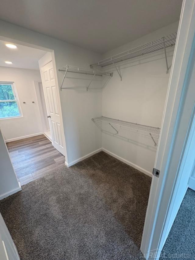 9240 Moreland Road, Jerome, MI 49249 — Photo 13