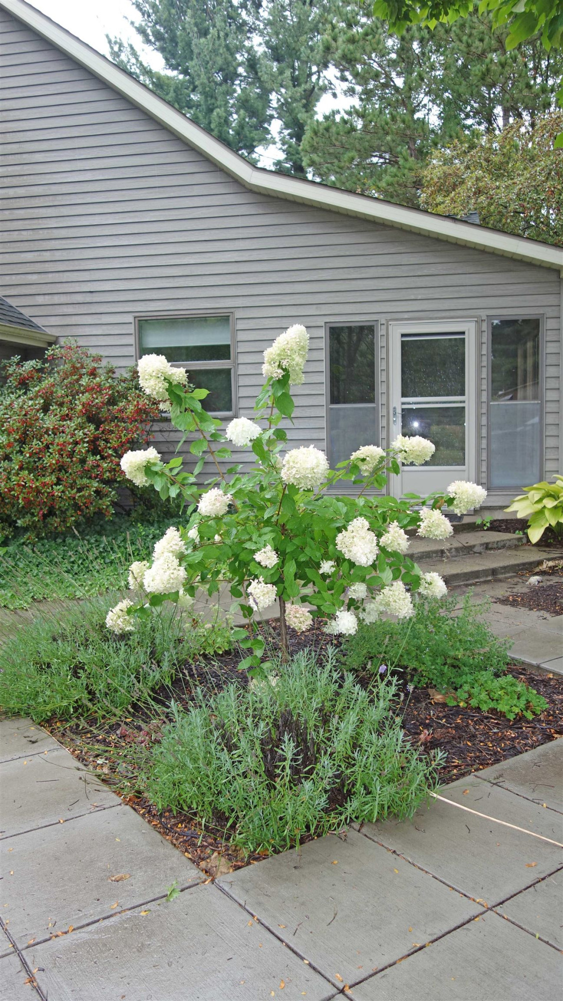 13670 Bueche Road, Montrose, MI 48457 — Photo 31