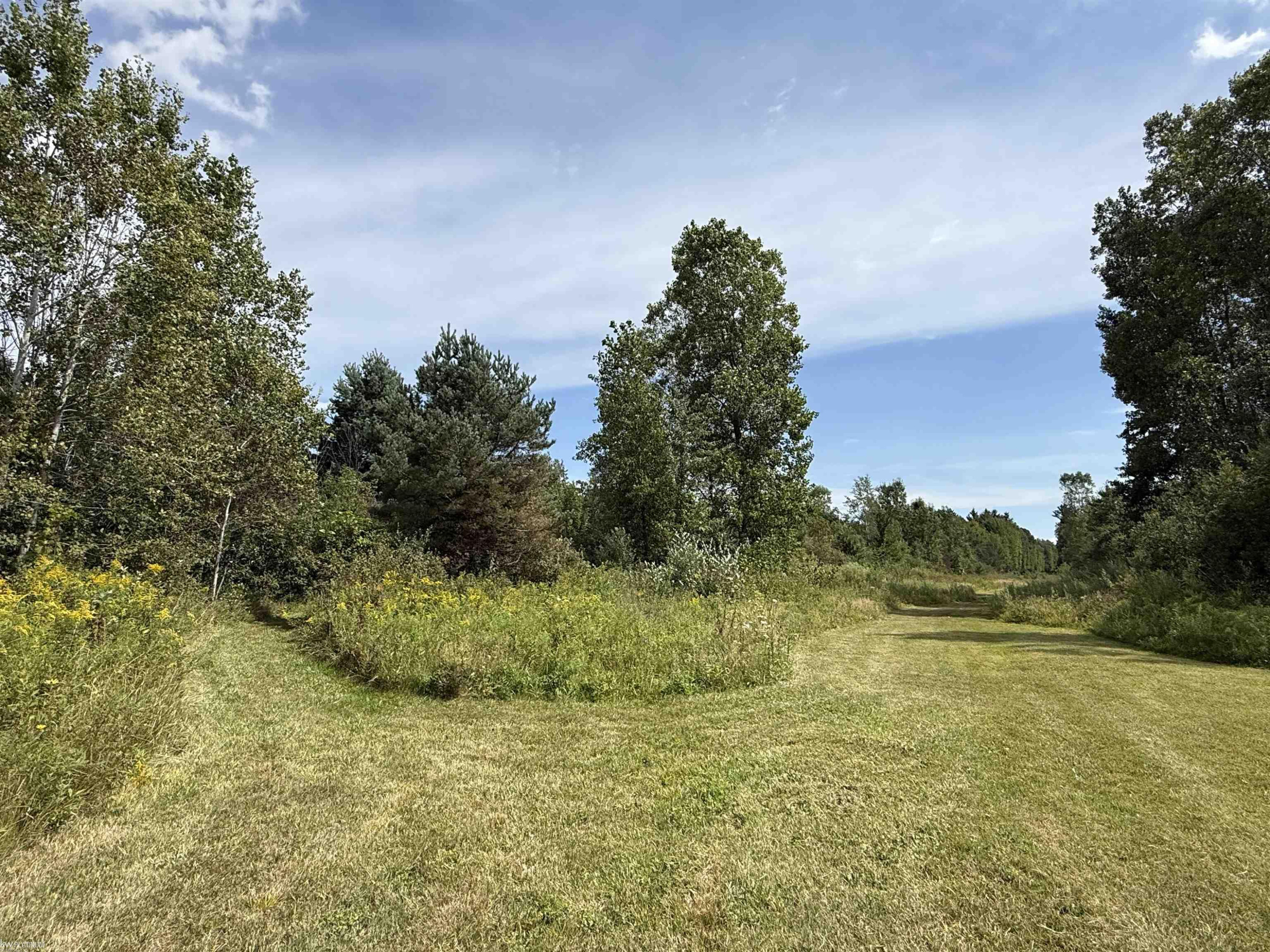 2906 Castor Road, MI — Photo 28