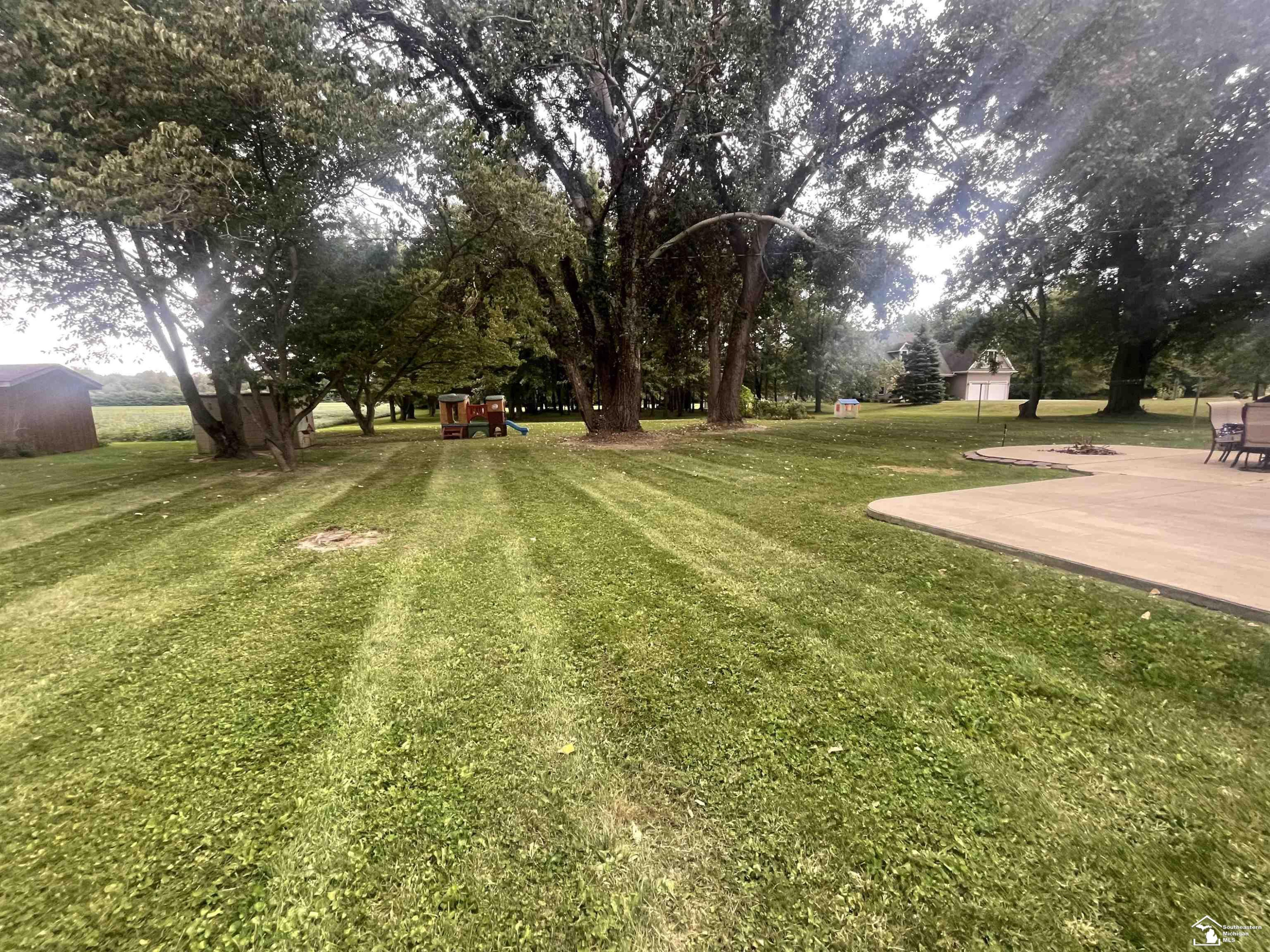 1437 Wells Road, Dundee, MI 48131 — Photo 10
