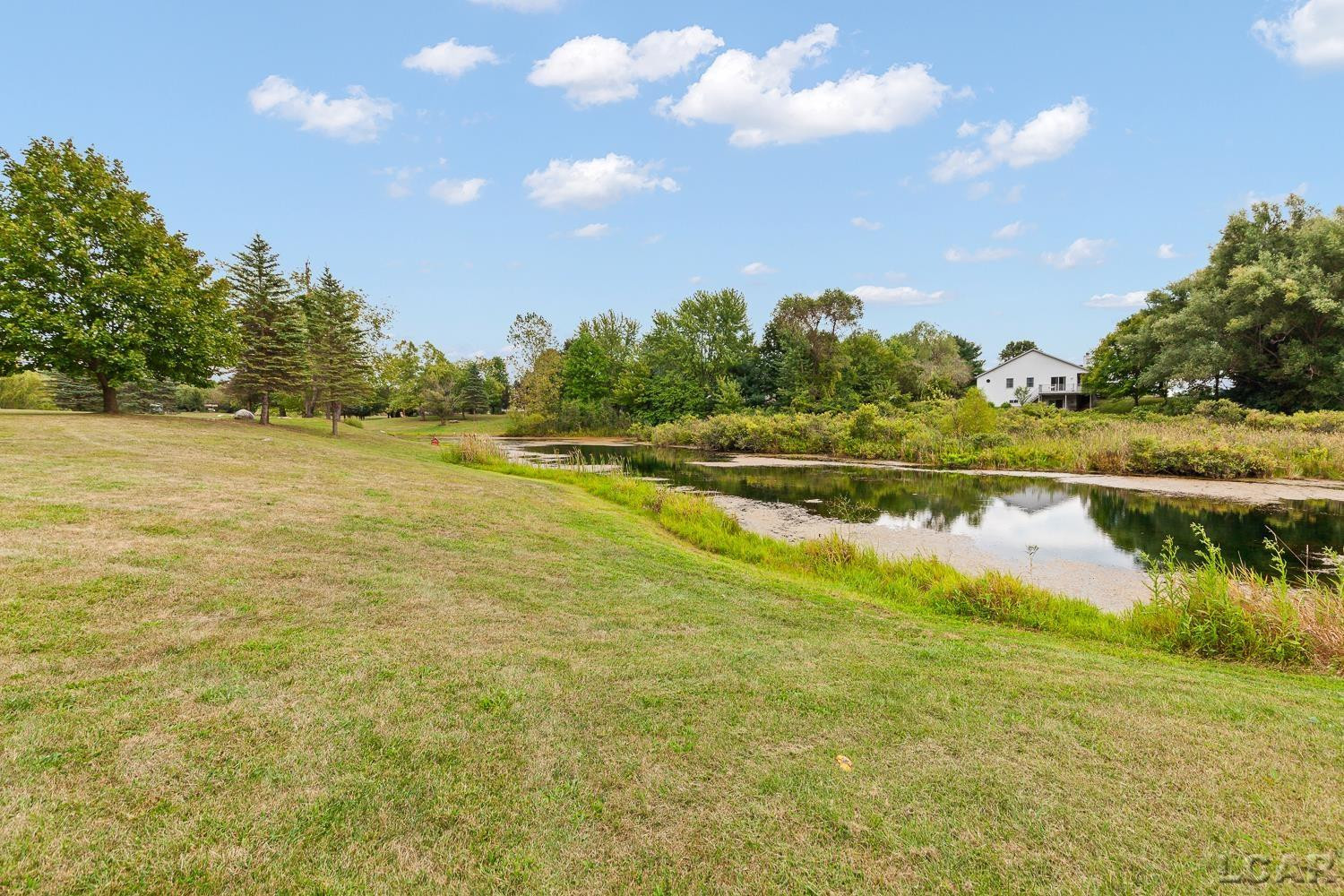 12460 Wisner Highway, Clinton, MI 49236 — Photo 42