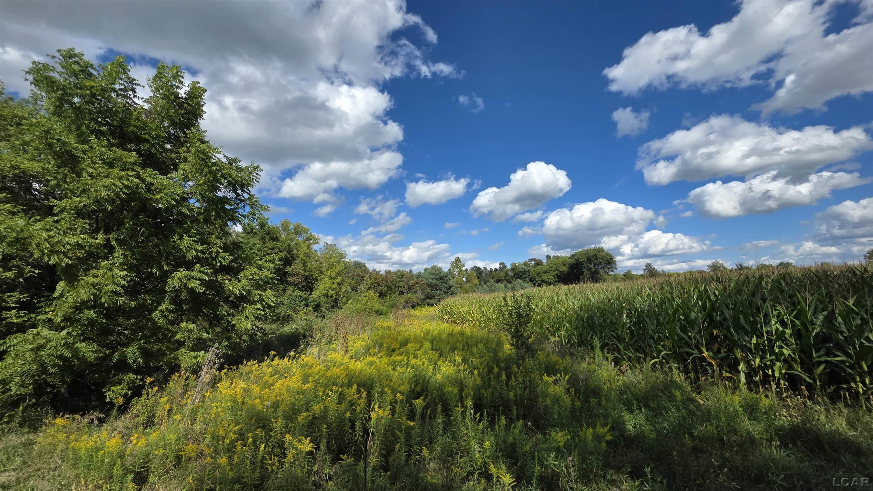 18000 Blk Forrister Road, Hudson, MI 49247 — Photo 8