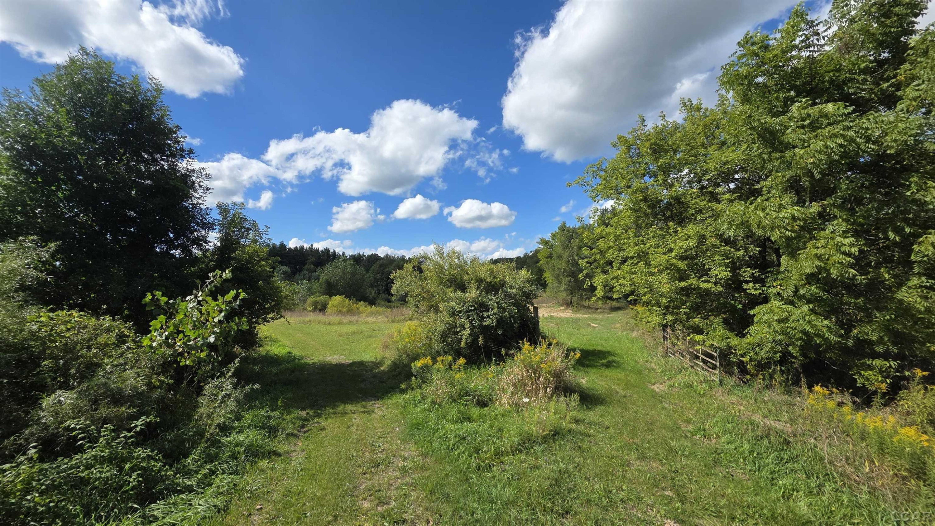 18000 Blk Forrister Road, Hudson, MI 49247 — Photo 9