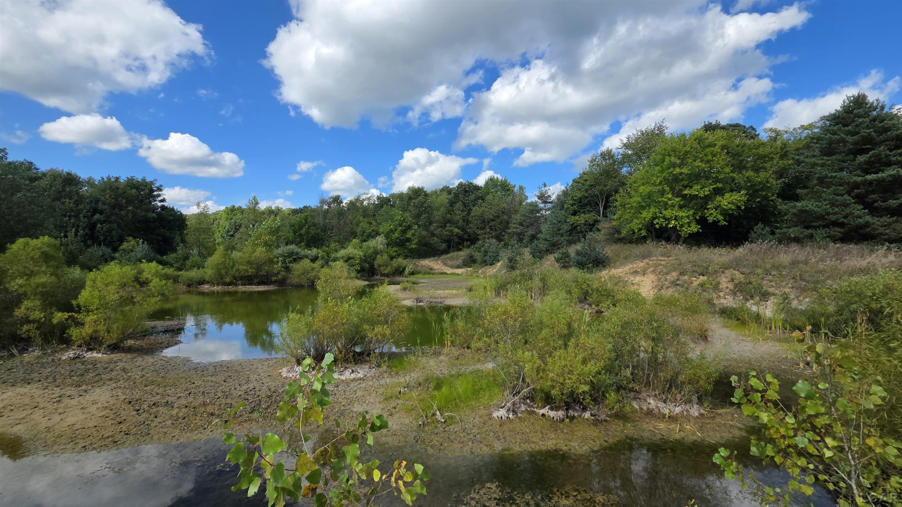 18000 Blk Forrister Road, Hudson, MI 49247 — Photo 10