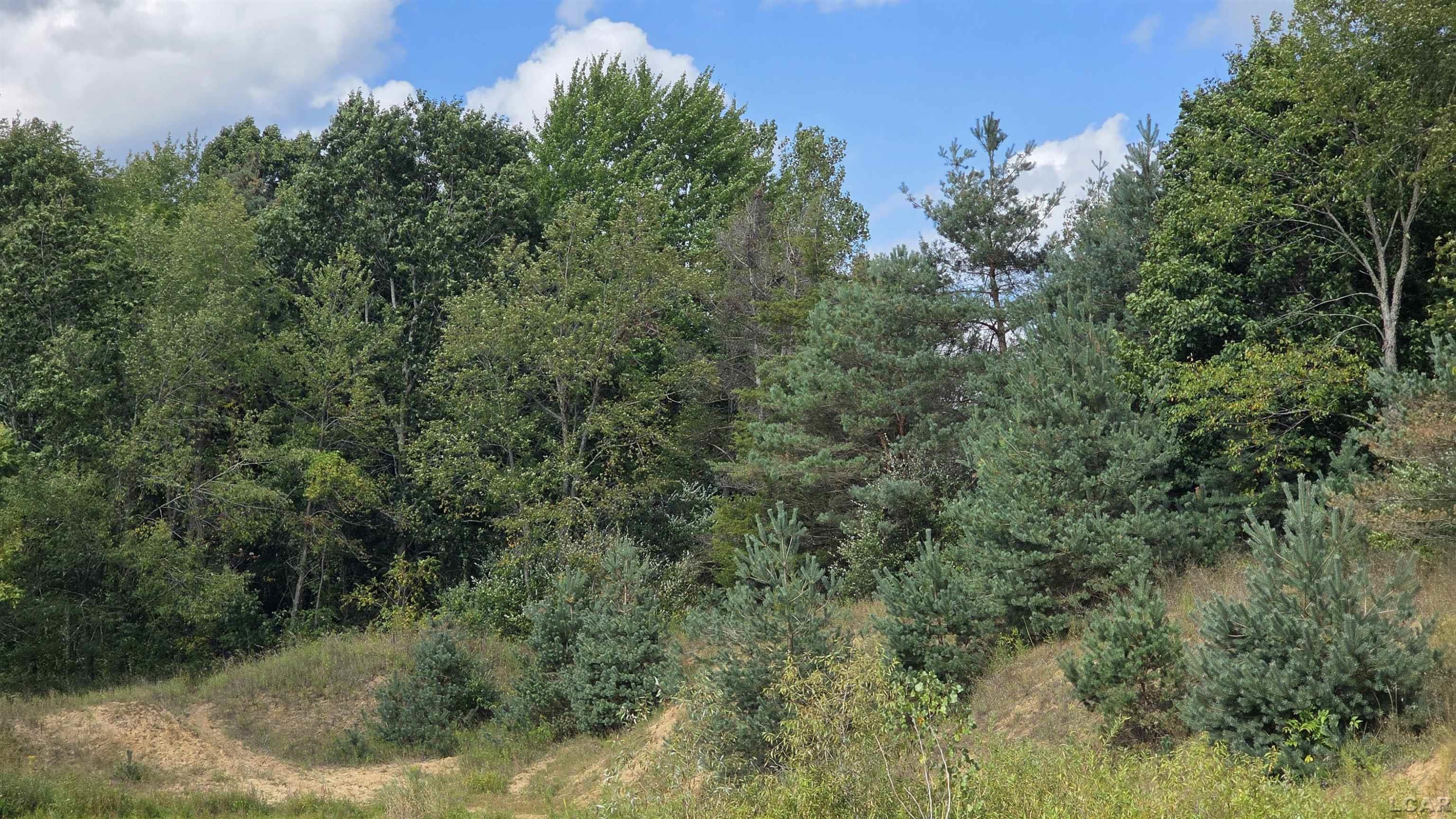 18000 Blk Forrister Road, Hudson, MI 49247 — Photo 11