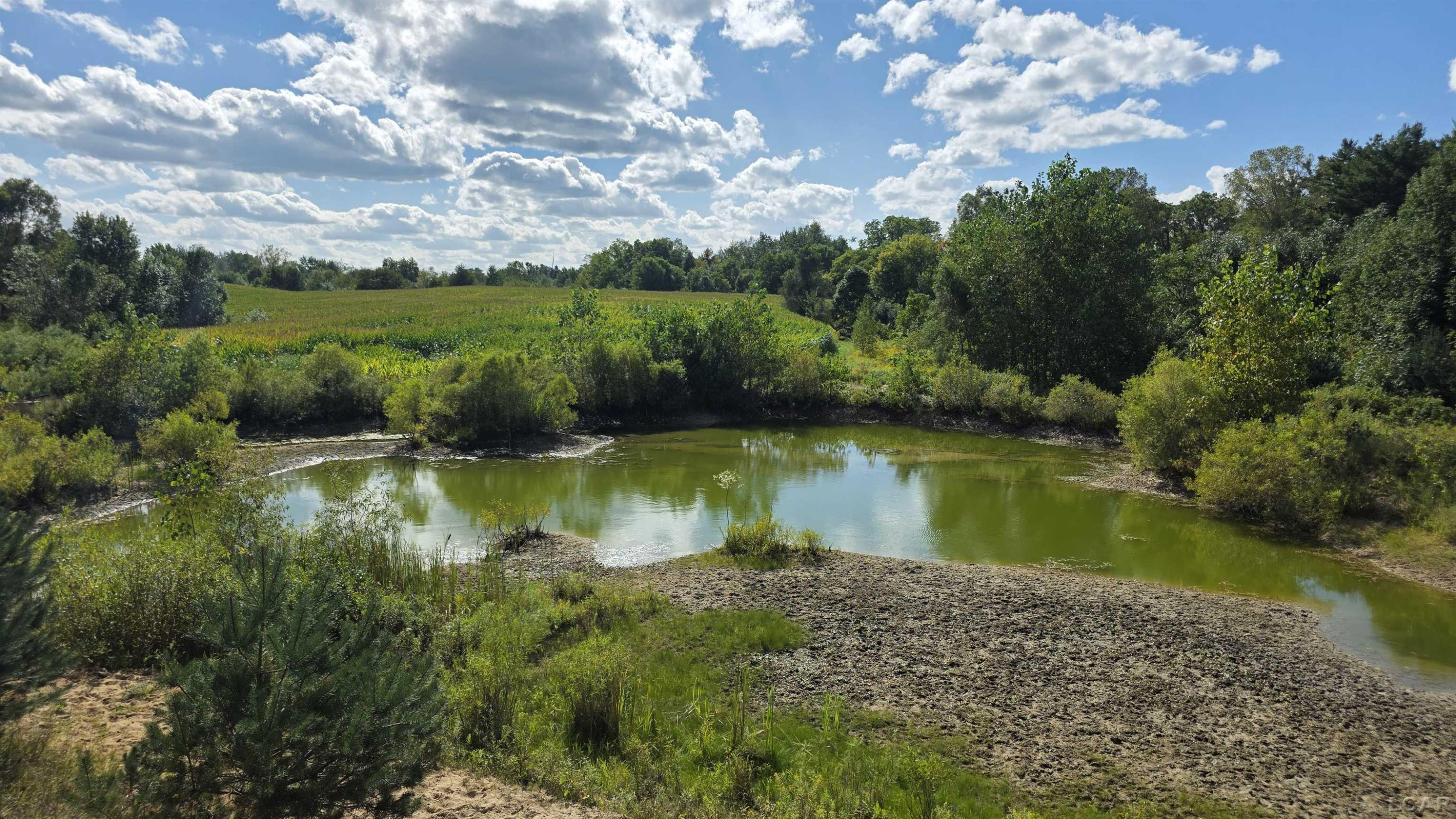 18000 Blk Forrister Road, Hudson, MI 49247 — Photo 13