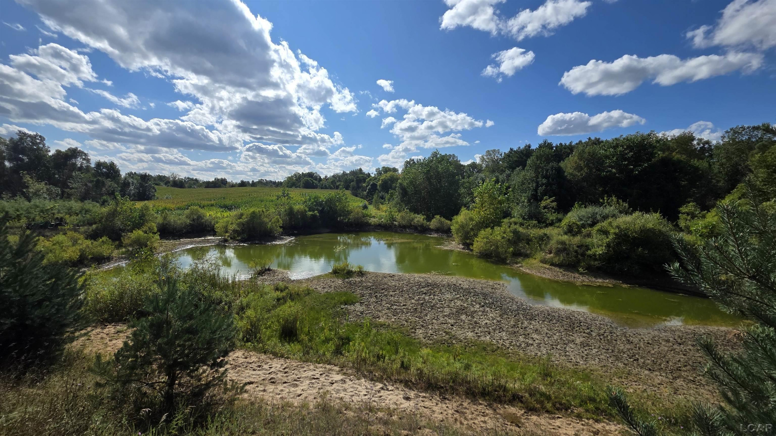 18000 Blk Forrister Road, Hudson, MI 49247 — Photo 14