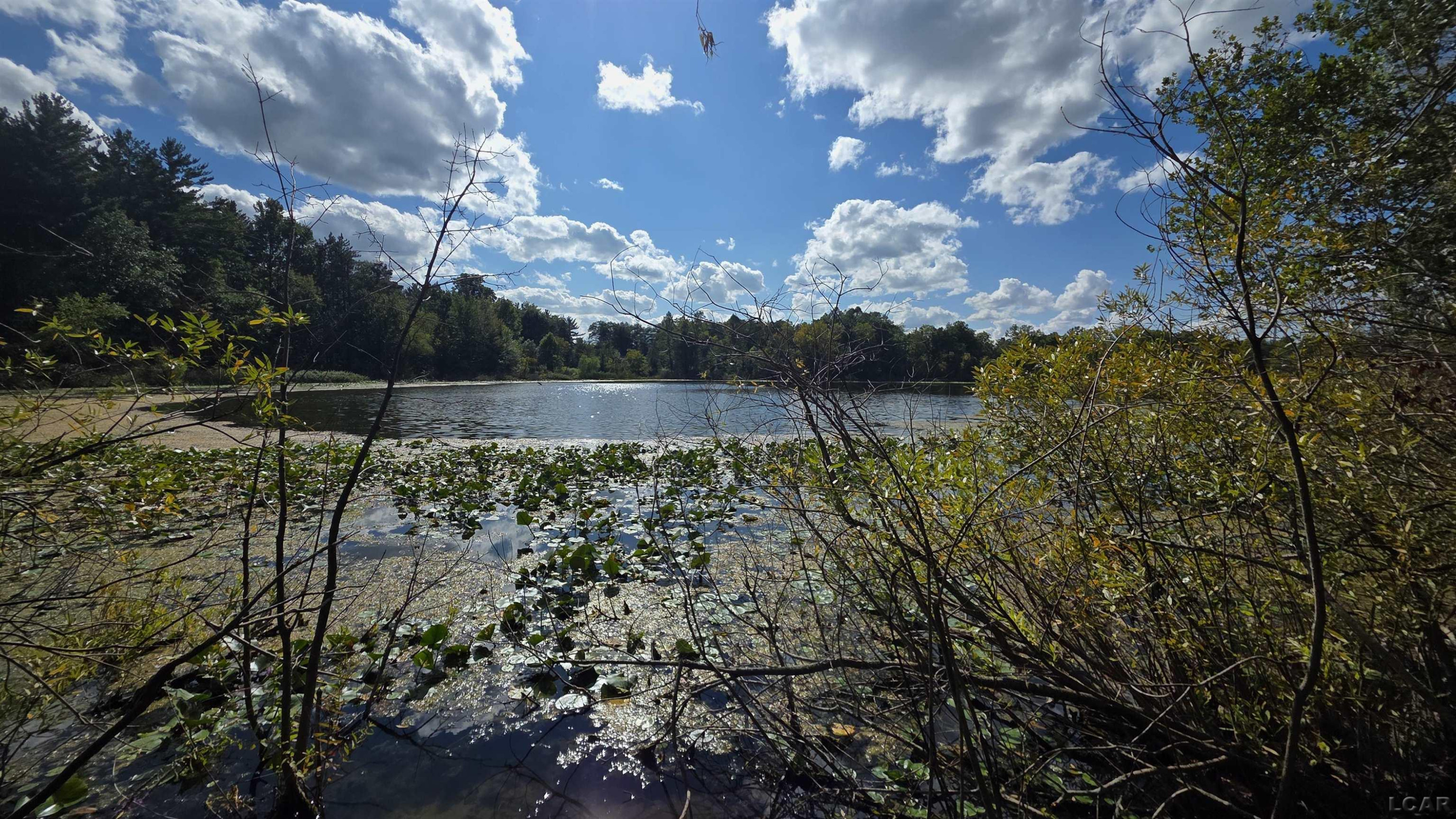 18000 Blk Forrister Road, Hudson, MI 49247 — Photo 15