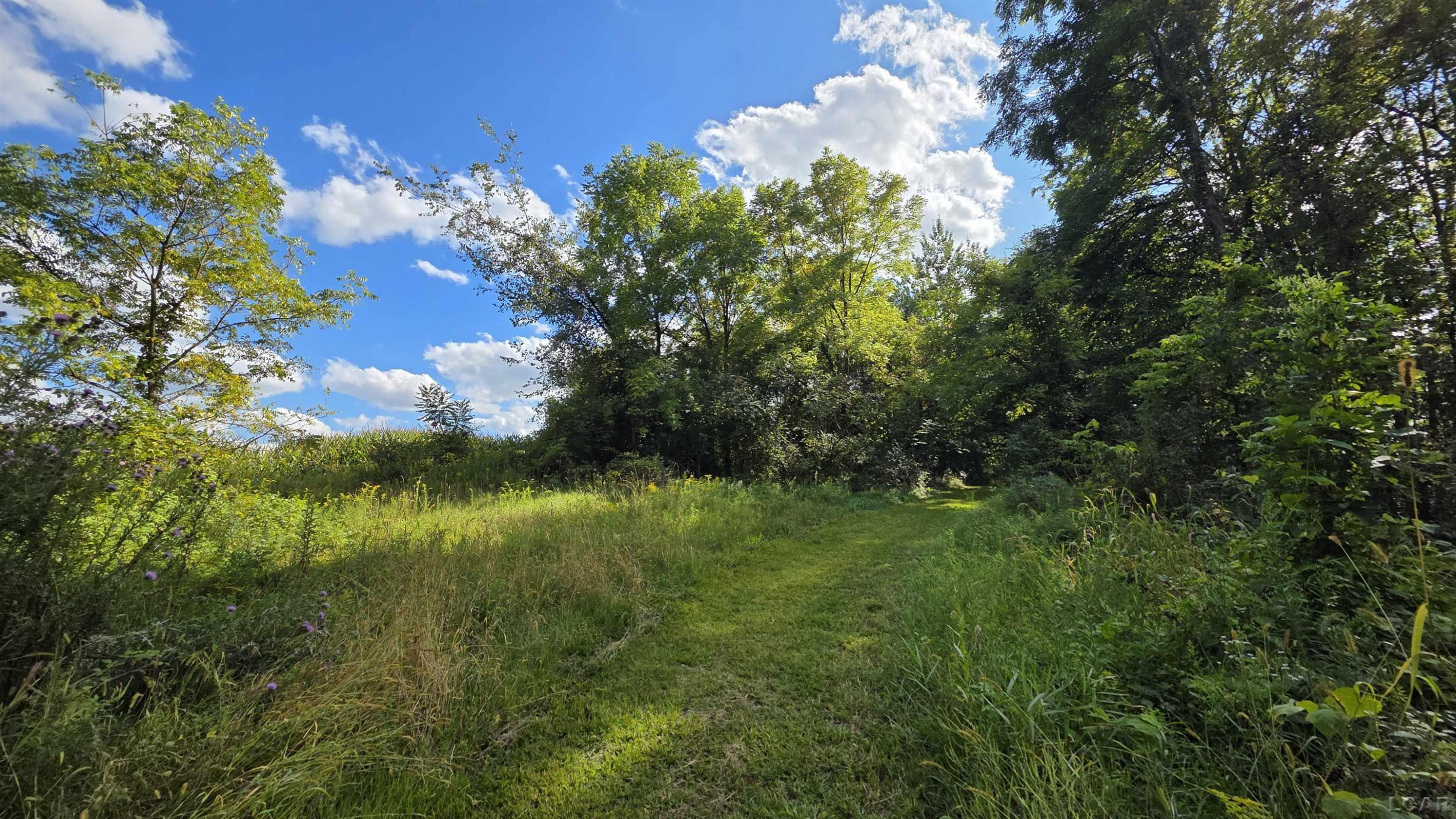 18000 Blk Forrister Road, Hudson, MI 49247 — Photo 18