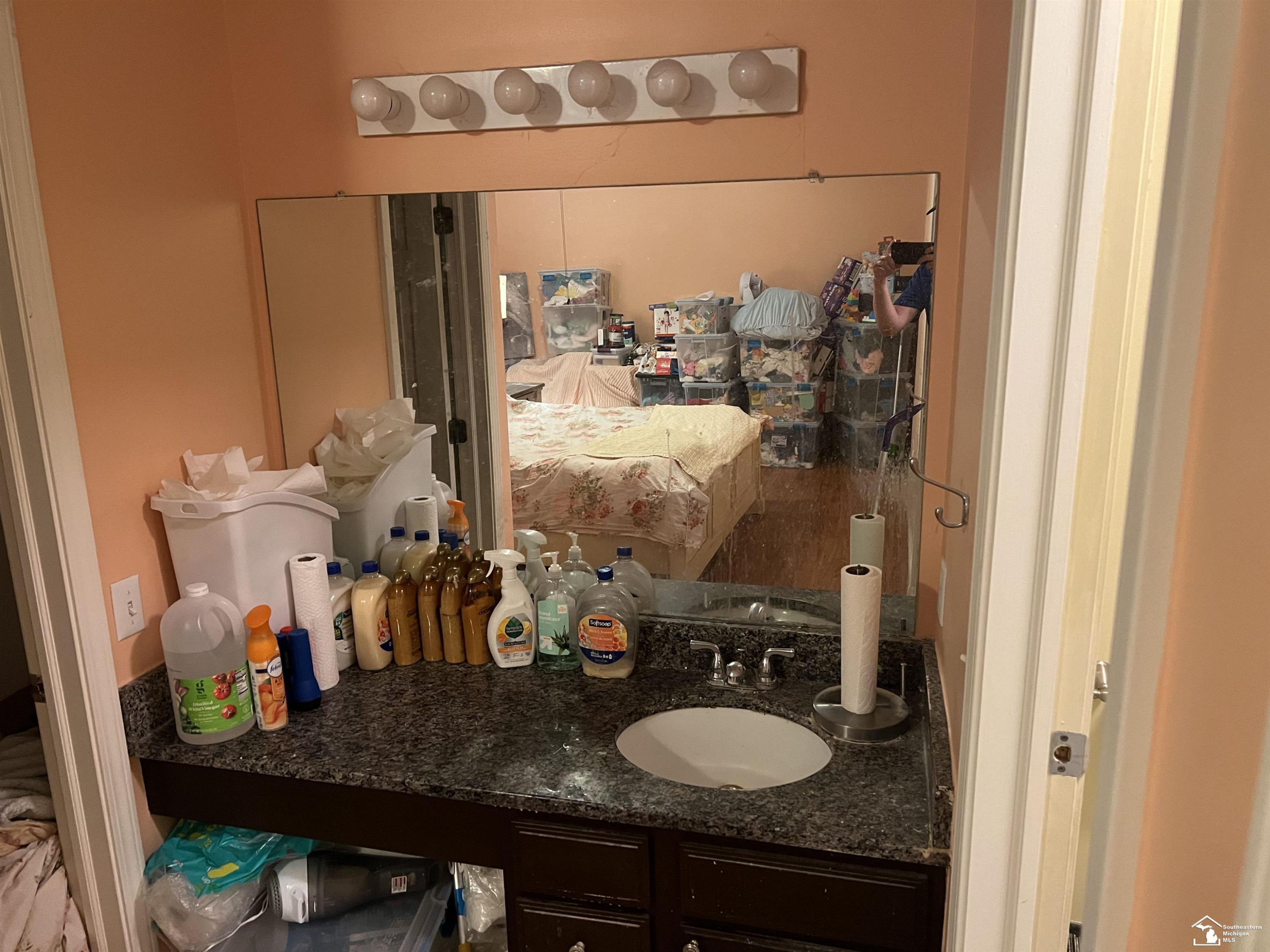 3084 Turnberry Lane, Ann Arbor, MI 48108 — Photo 12