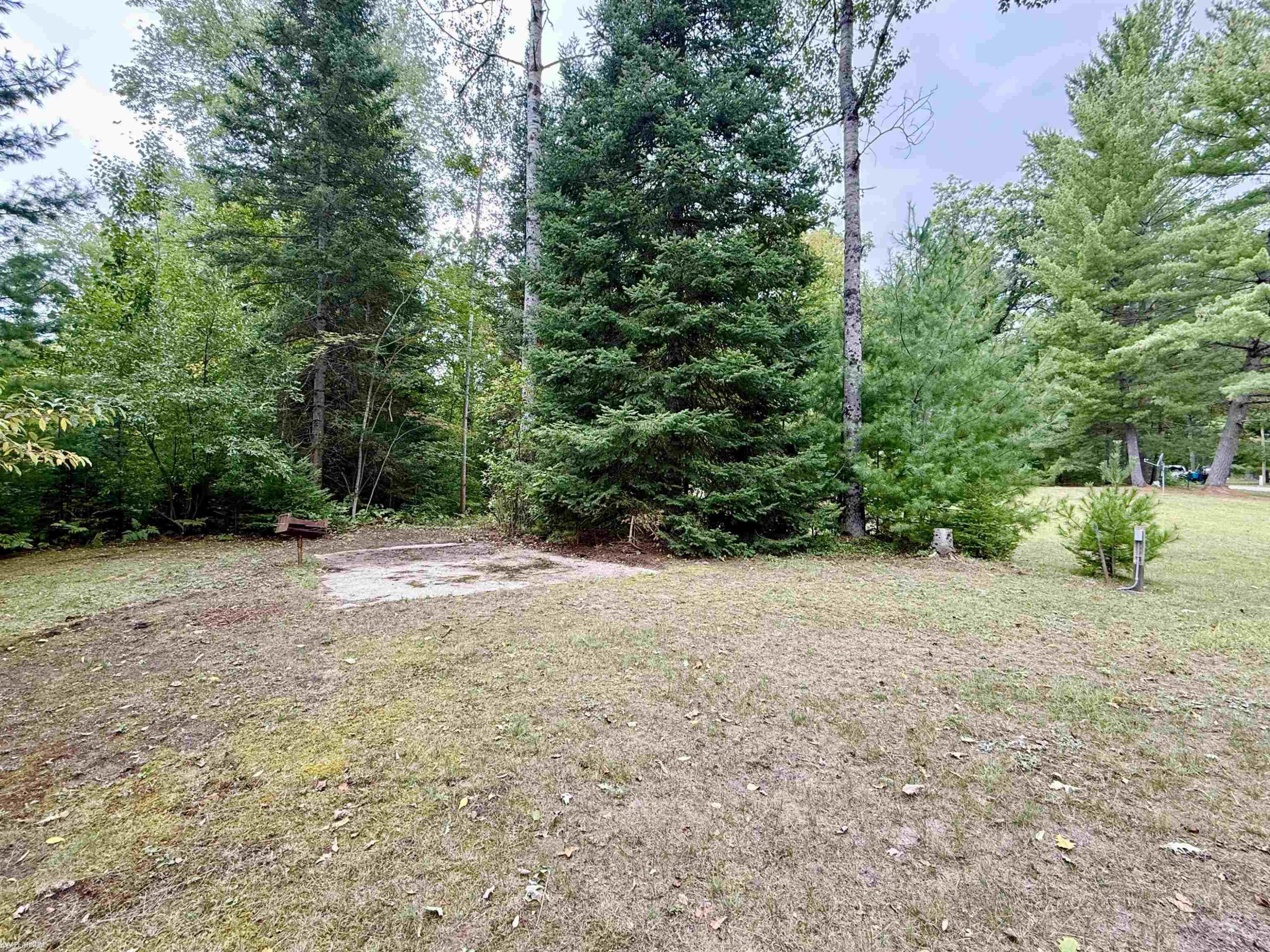 6441 Grace Drive, Hale, MI 48739 — Photo 27
