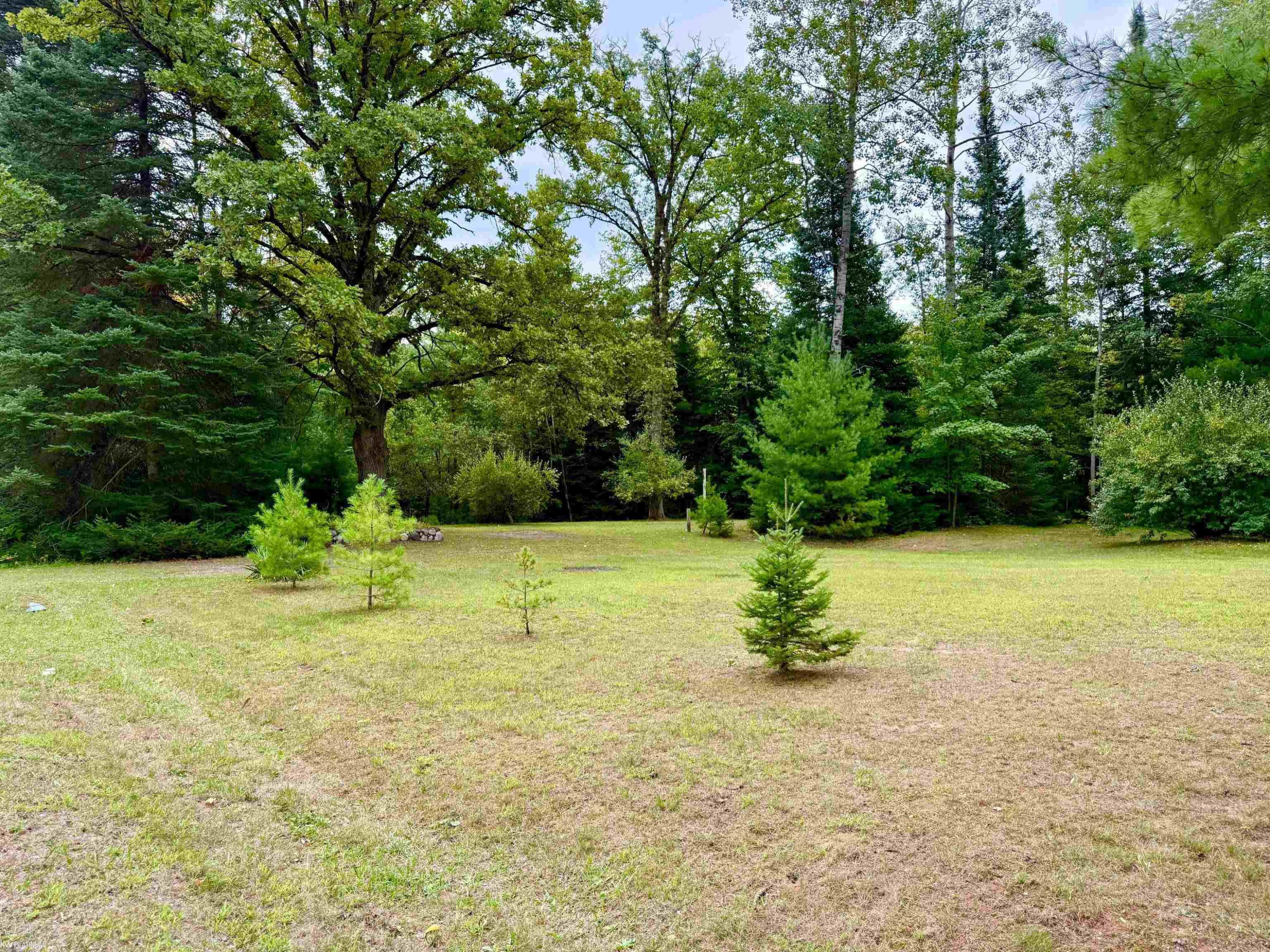 6441 Grace Drive, Hale, MI 48739 — Photo 31