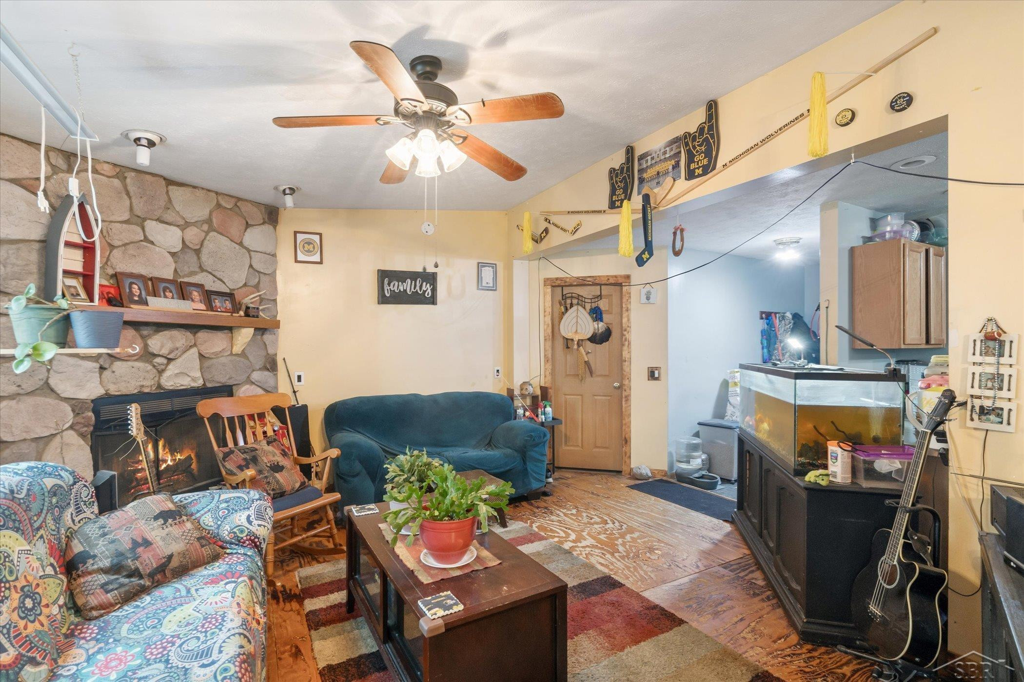 14030 Crawford Road, Eaton Rapids, MI 48827 — Photo 4