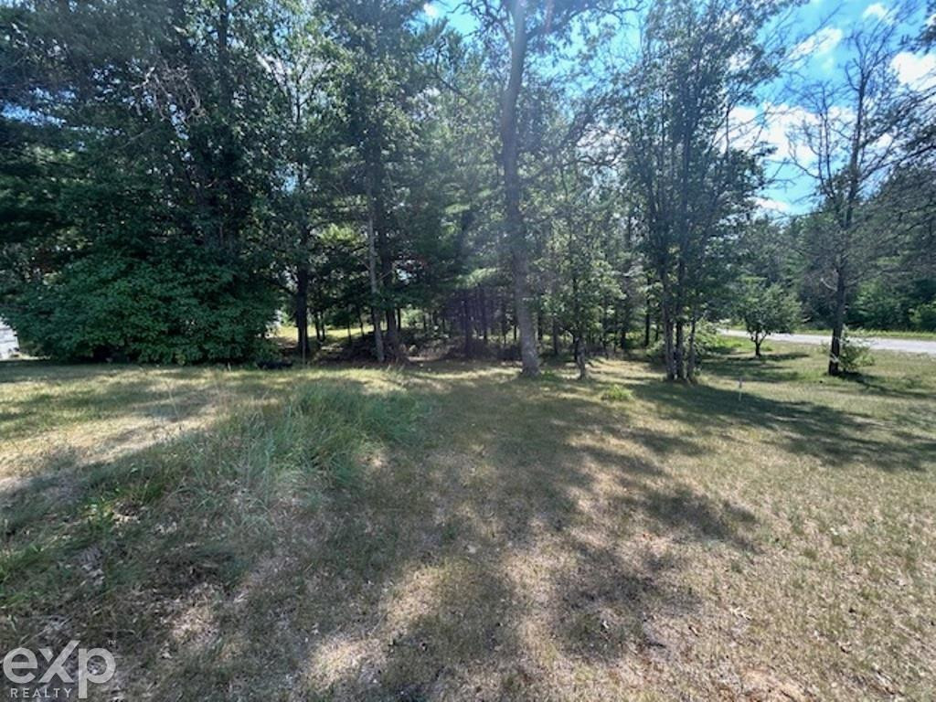 2977 Coupland Road Road, Luzerne, MI 48636 — Photo 27