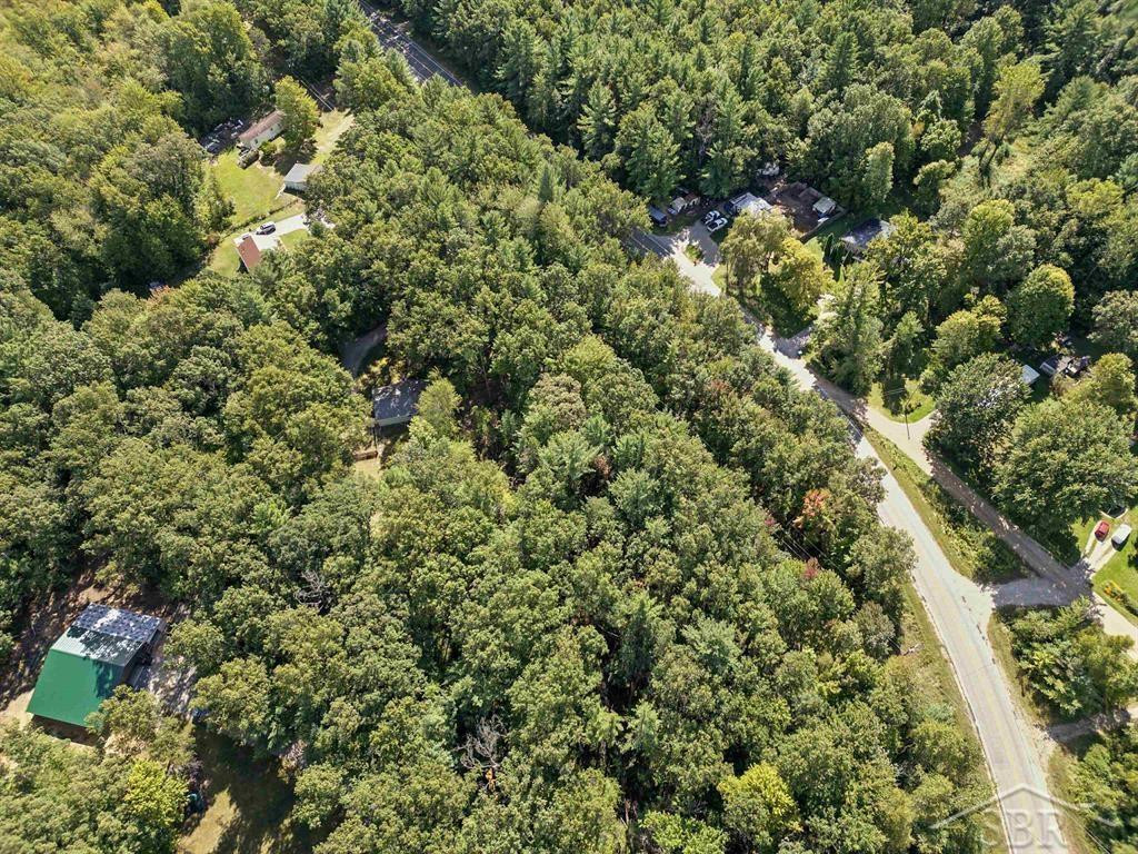 450 W Wackerly Road, Sanford, MI 48657 — Photo 36