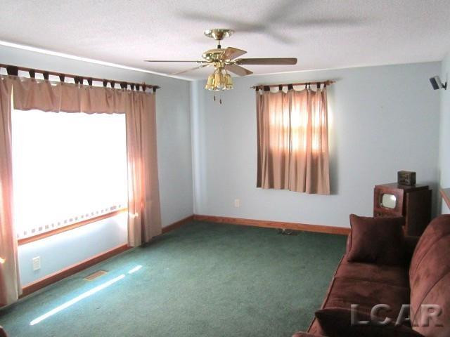4340 S Meridian Road, Hudson, MI 49247 — Photo 6