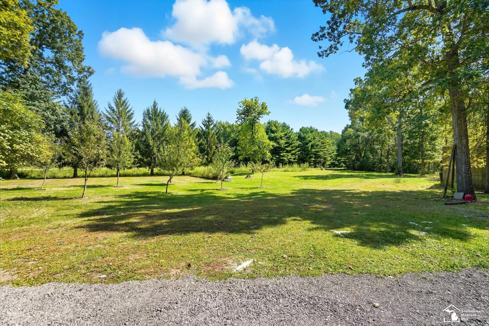2200 Meanwell Rd Road, Dundee, MI 48131 — Photo 79
